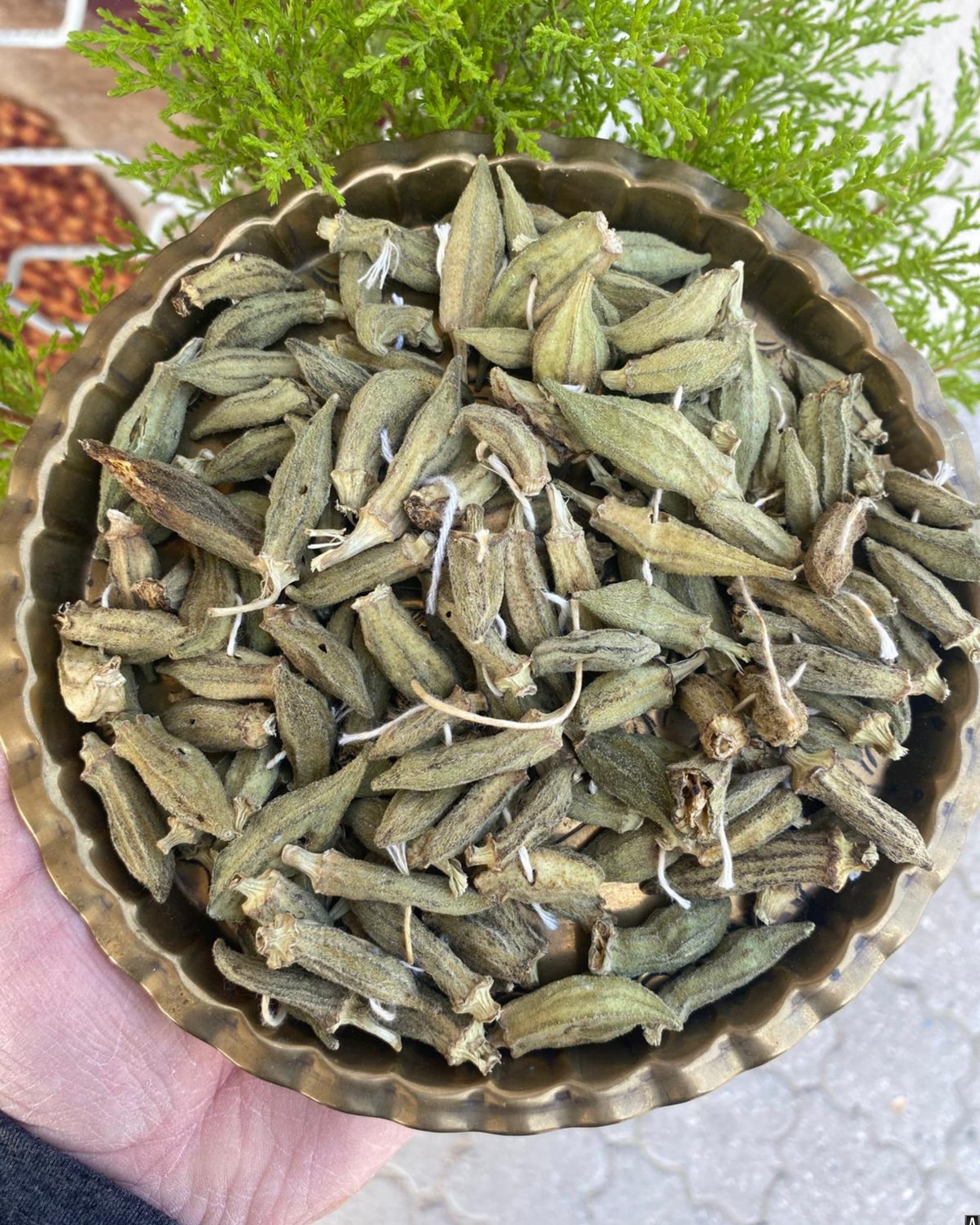Sultani bamya (100gr)