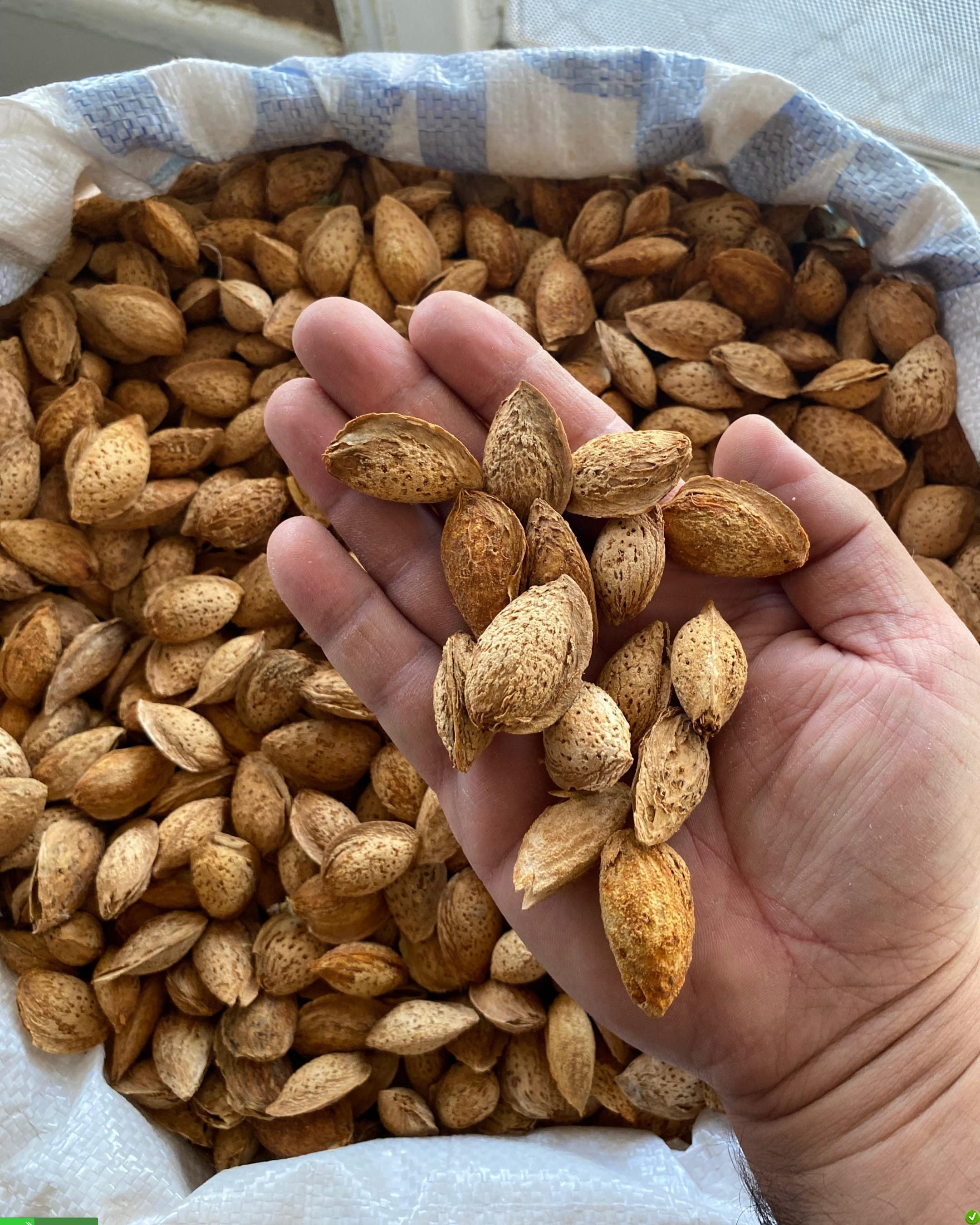 Çıtır Badem (500 Gr)
