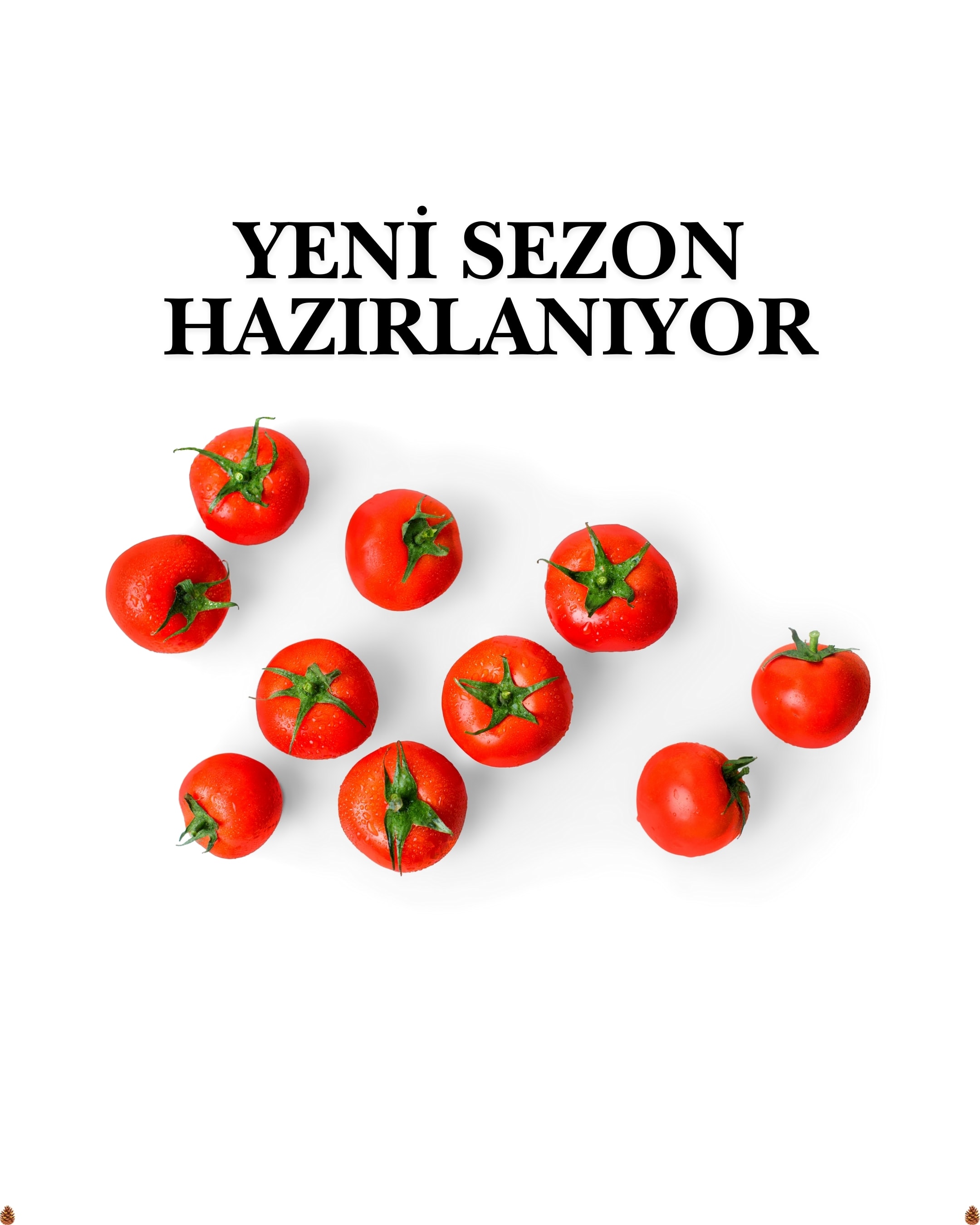 Karışık Türlü (660cc)