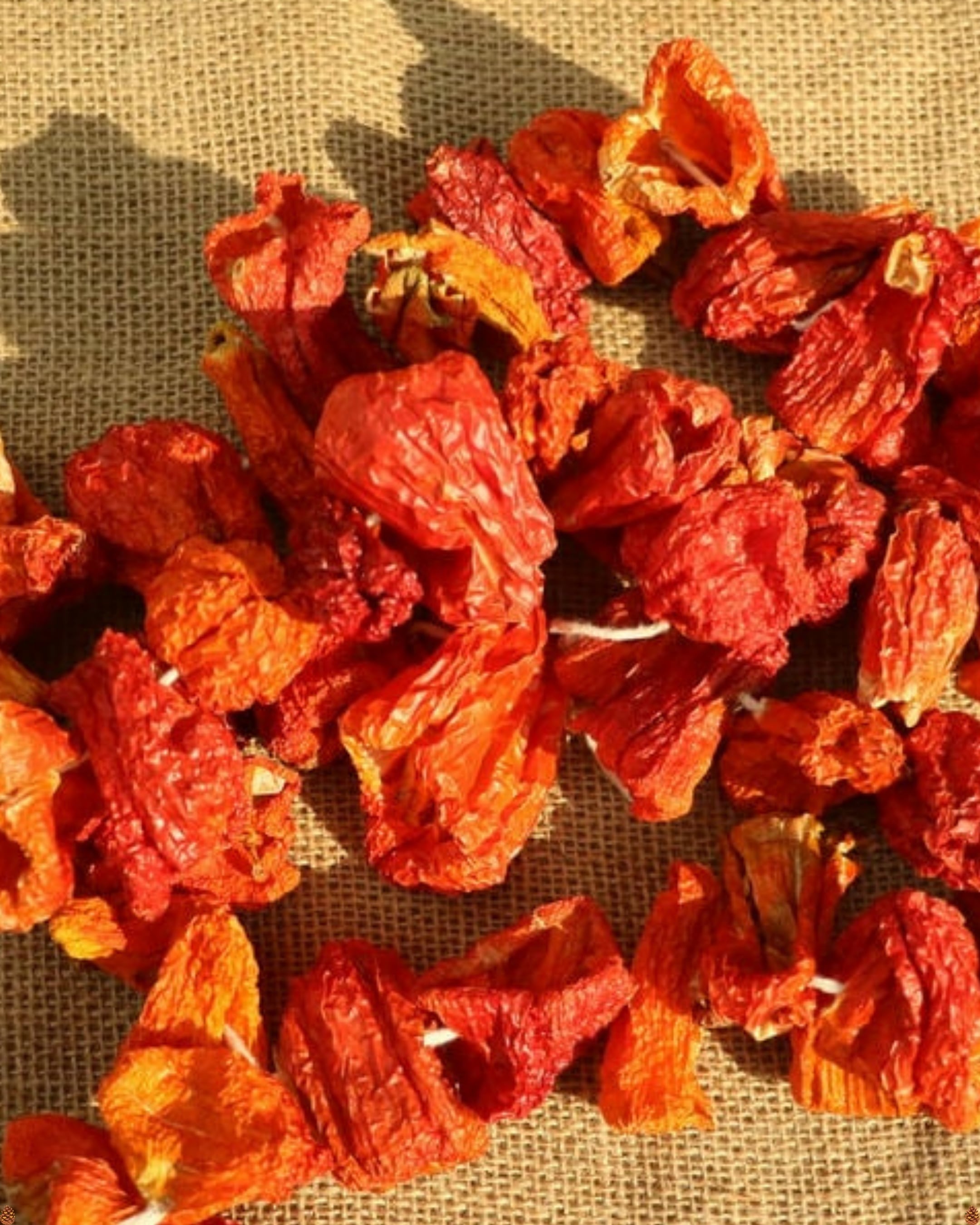 Dolmalık Biber Tatlı (45-50adet)