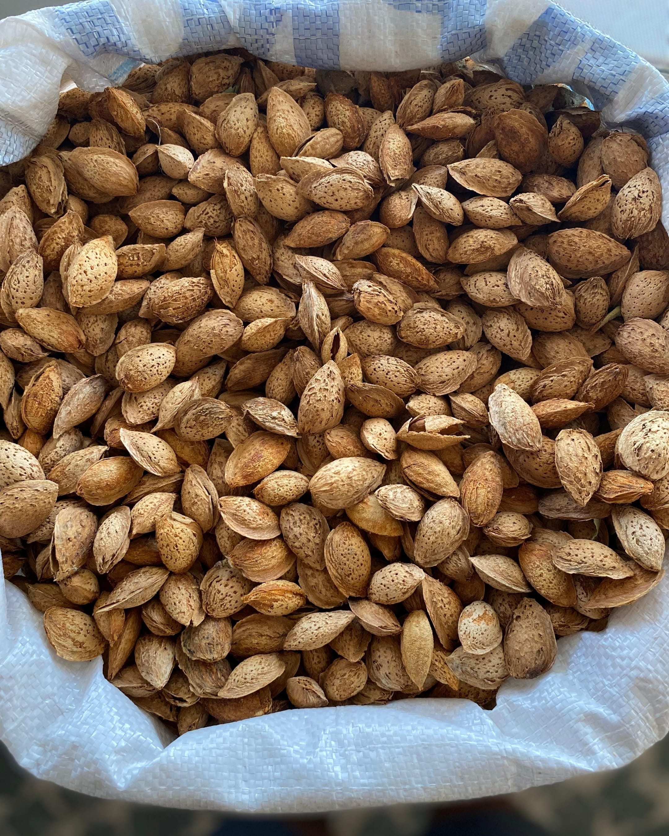Çıtır Badem (500 Gr)