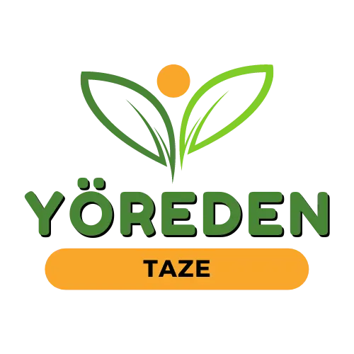 https://yoredentaze1.ikas.shop logo