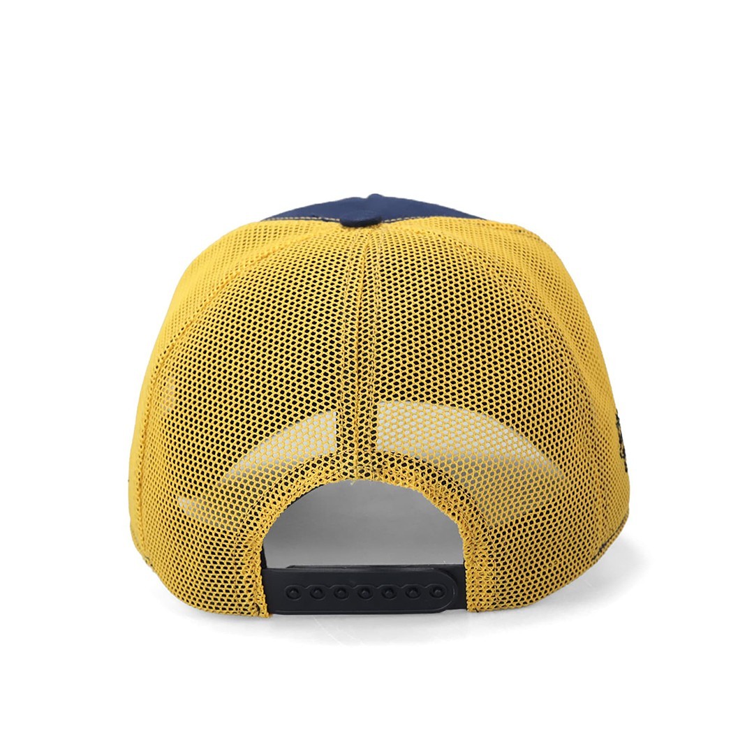 Blue-Yellow Cap