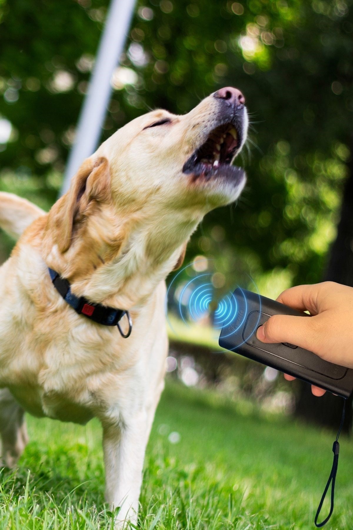 BUFFER® Ultrasonik Köpek Kovucu  ve Eğitici Cihaz