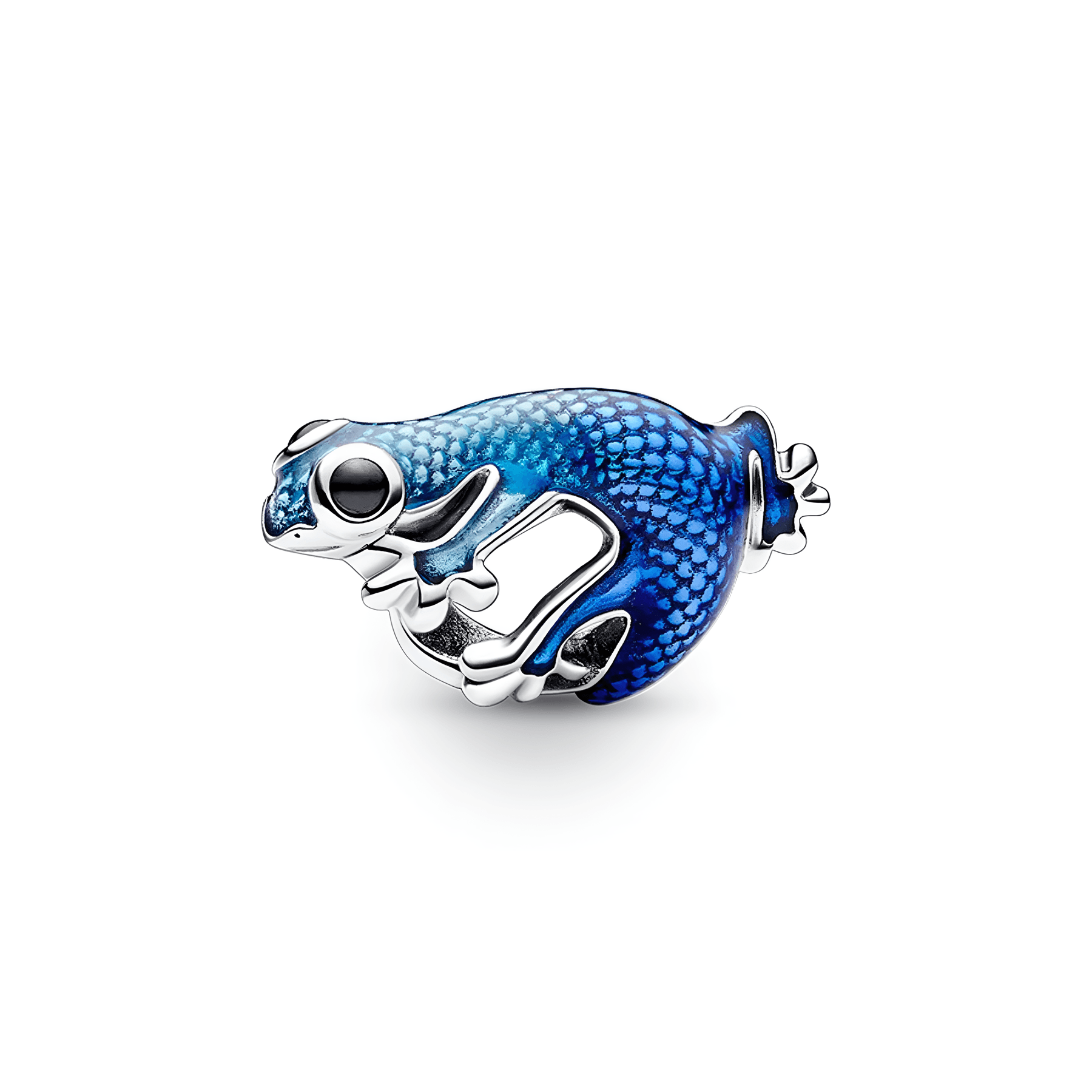 Mavi Kurbağa Charm
