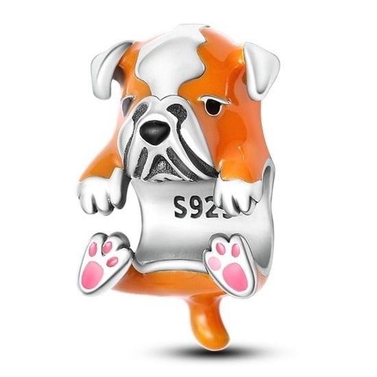 Sadık Dostum Bulldog Charmı