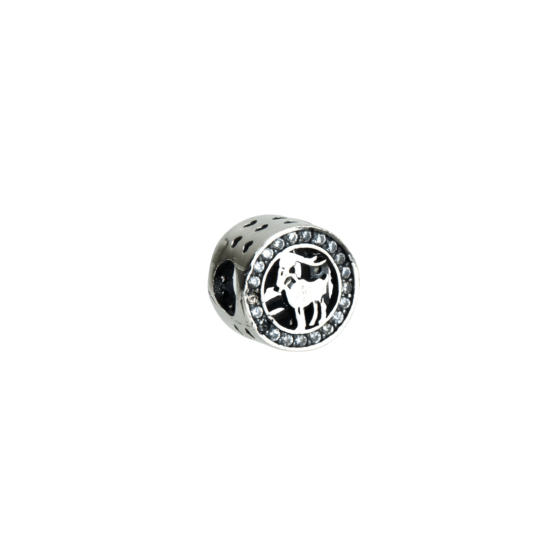 Oğlak Burcu Charm