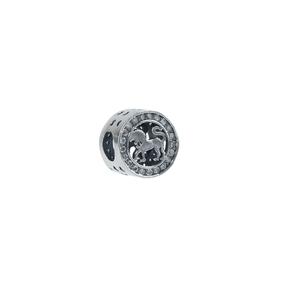 Aslan Burcu Charm