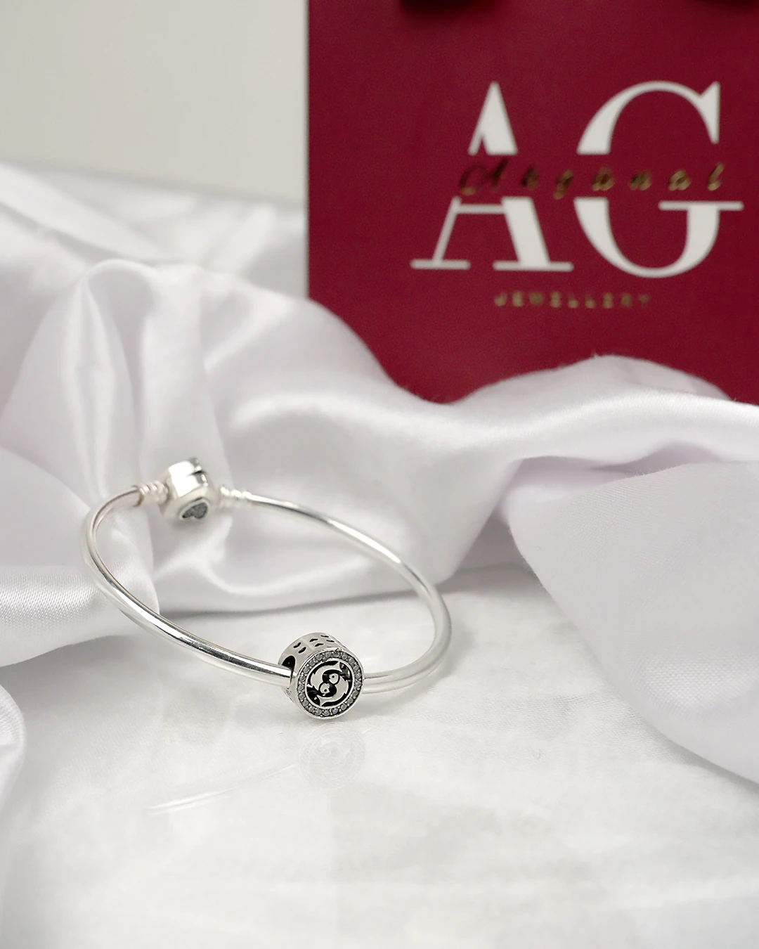 925 Ayar Gümüş Balık Burcu Charm