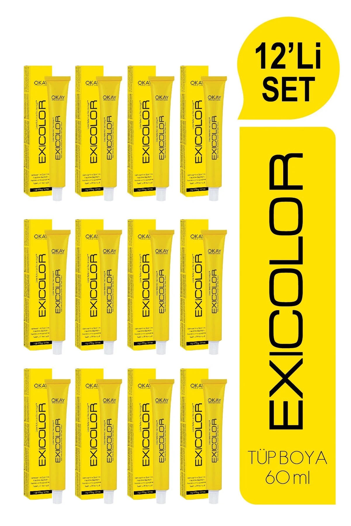 EXICOLOR 12'Lİ SET 12.01 YOĞUN KÜLLÜ SÜPER AÇICI Kalıcı Krem Saç Boyası (60ml x 12 adet)