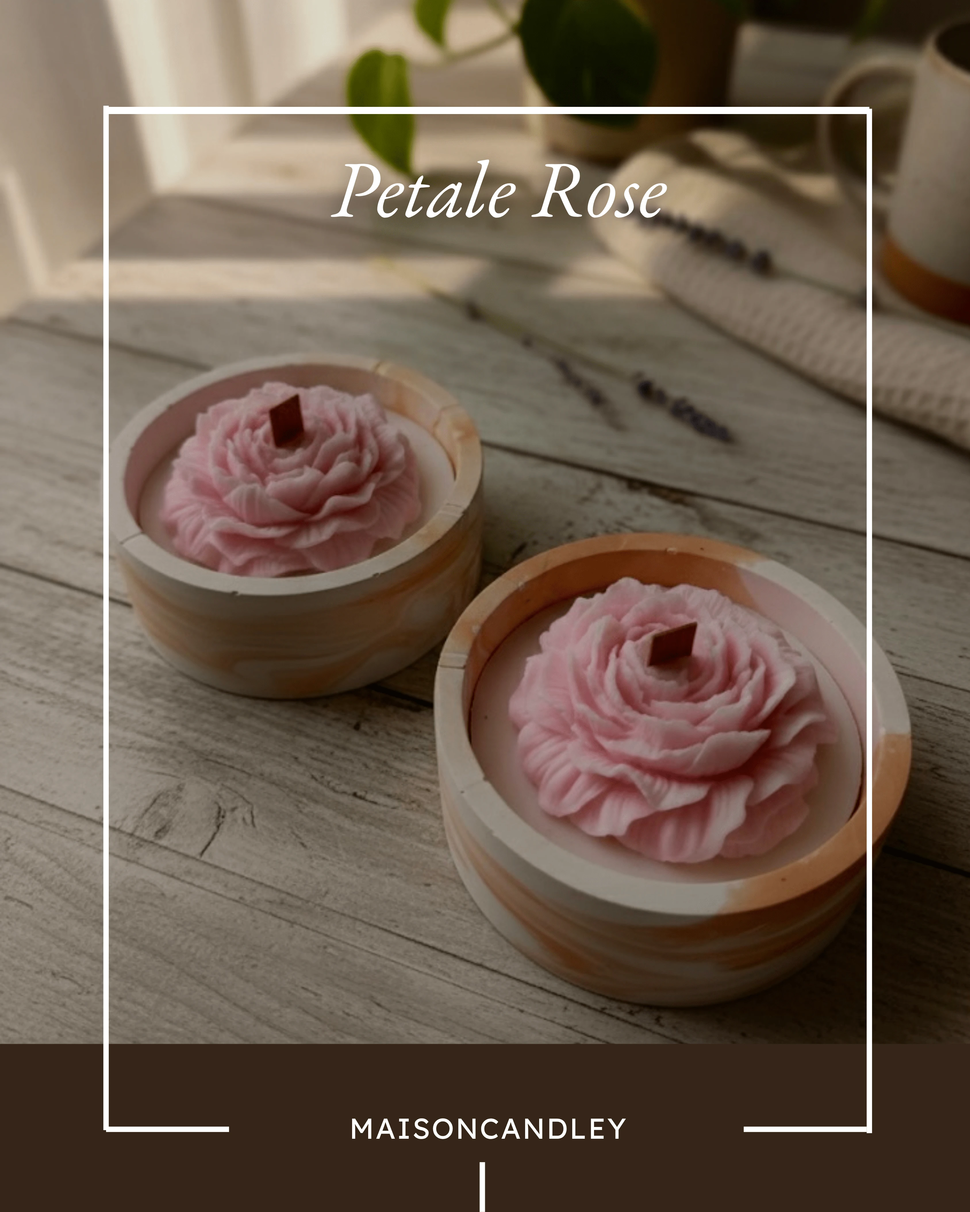 Petale Rose1