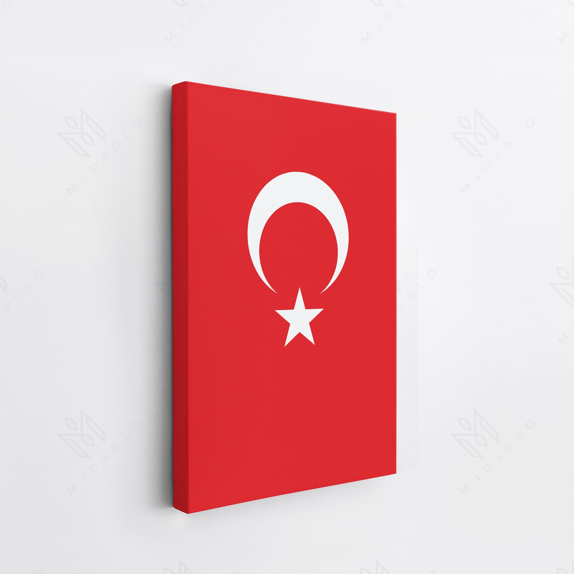 TC Bayrak Dikey - TC Flag Vertical