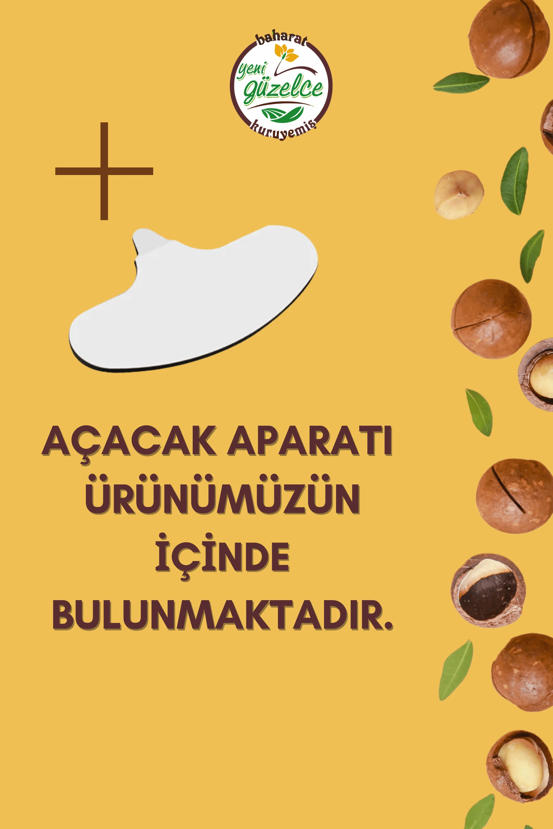 Kabuklu Kavrulmuş Makademya Fındığı