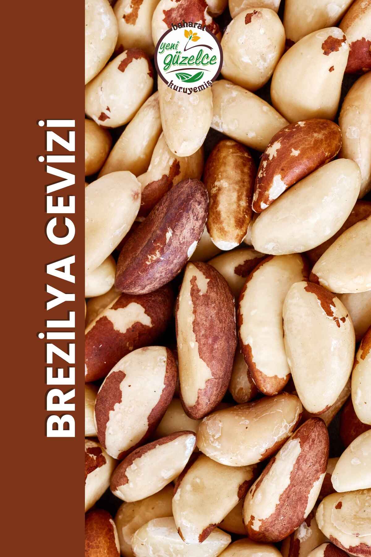 Brezilya Cevizi Yeni Mahsul