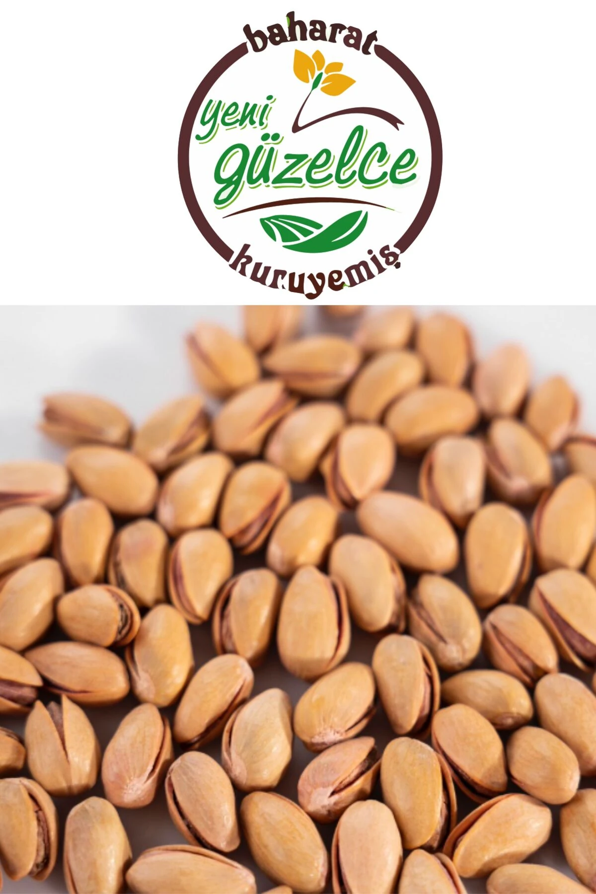 Antep Fıstığı Ana Çatlak Yeni Mahsul