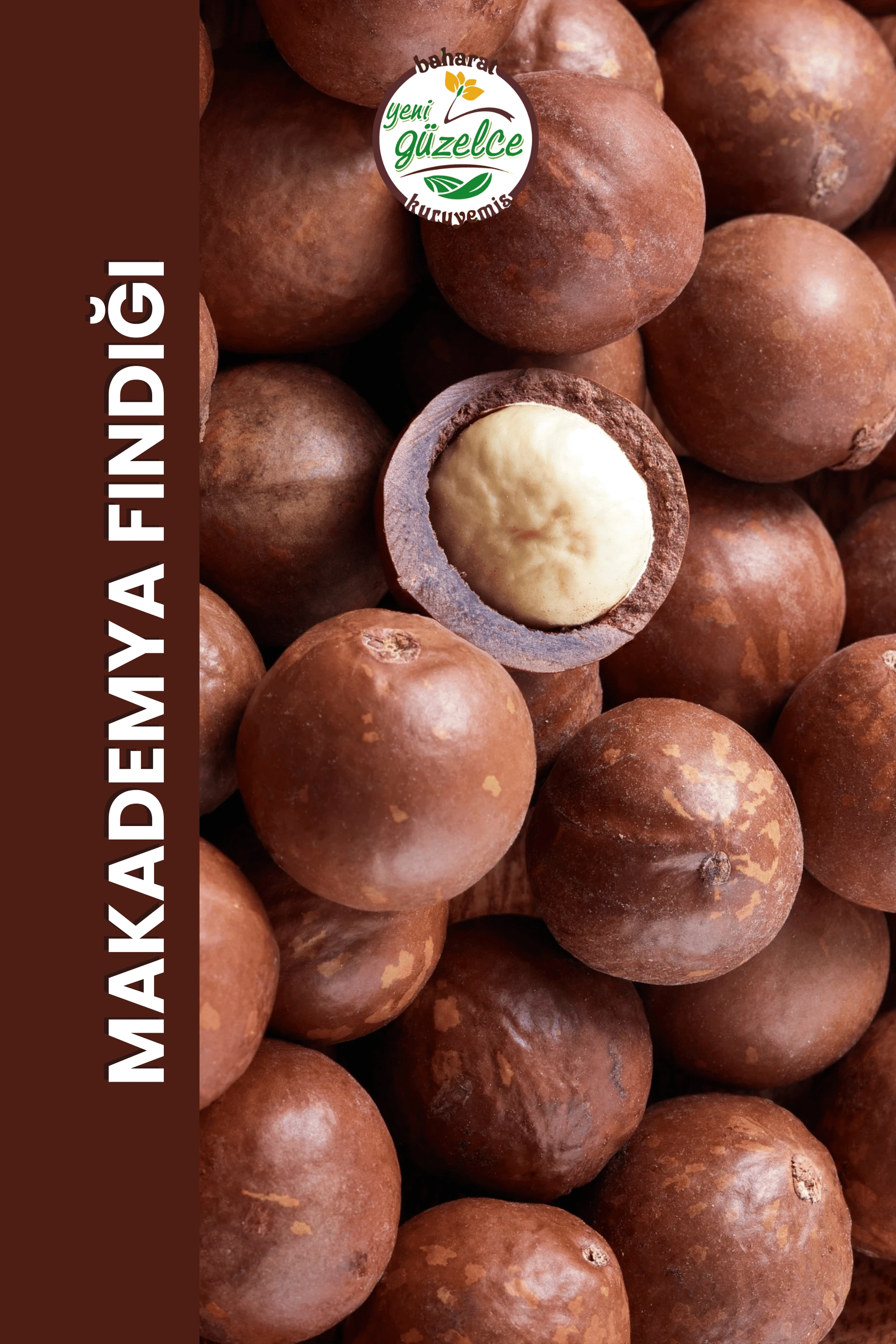 Kabuklu Kavrulmuş Makademya Fındığı