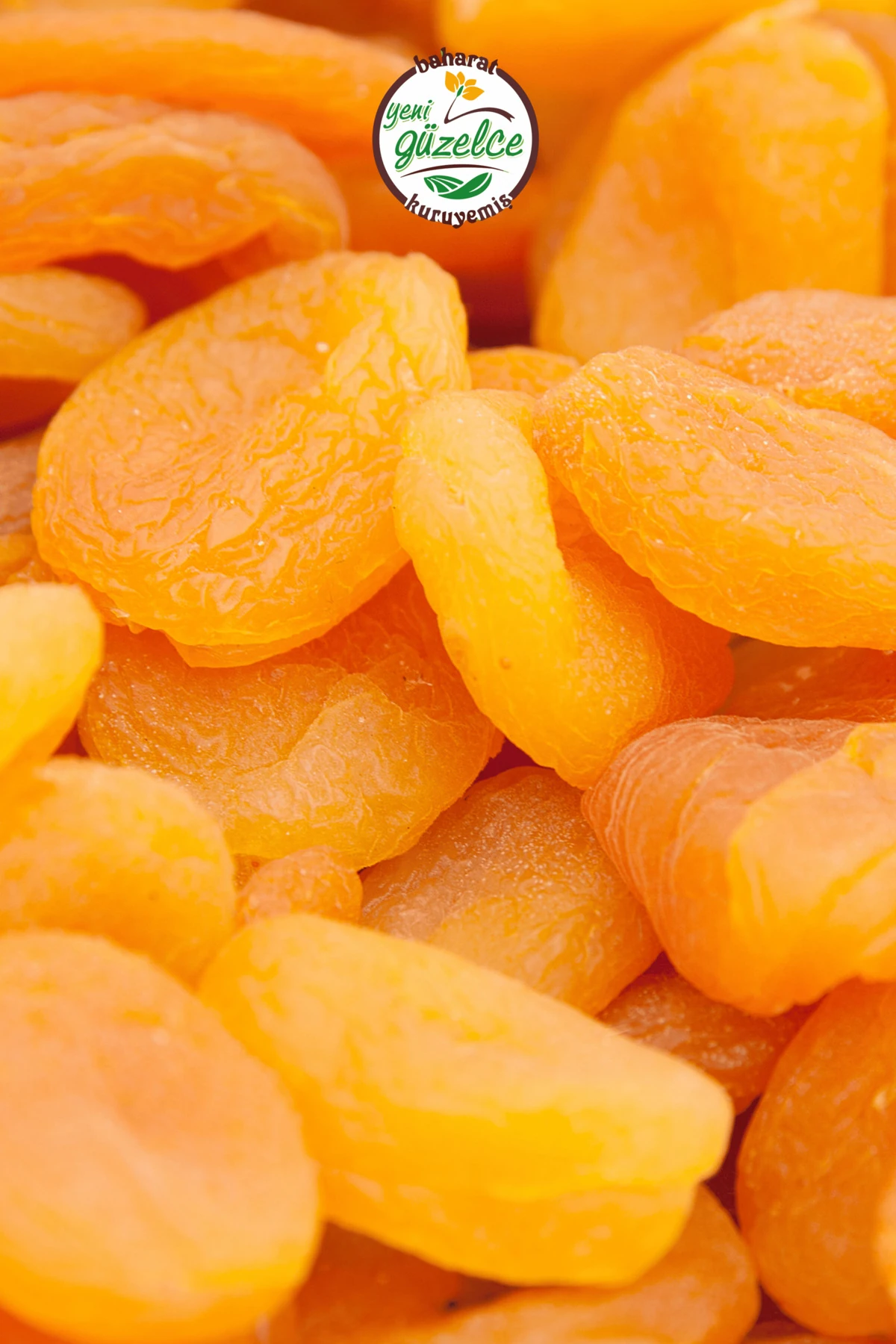 Kuru Kayısı Kabaaşı Yeni Mahsul