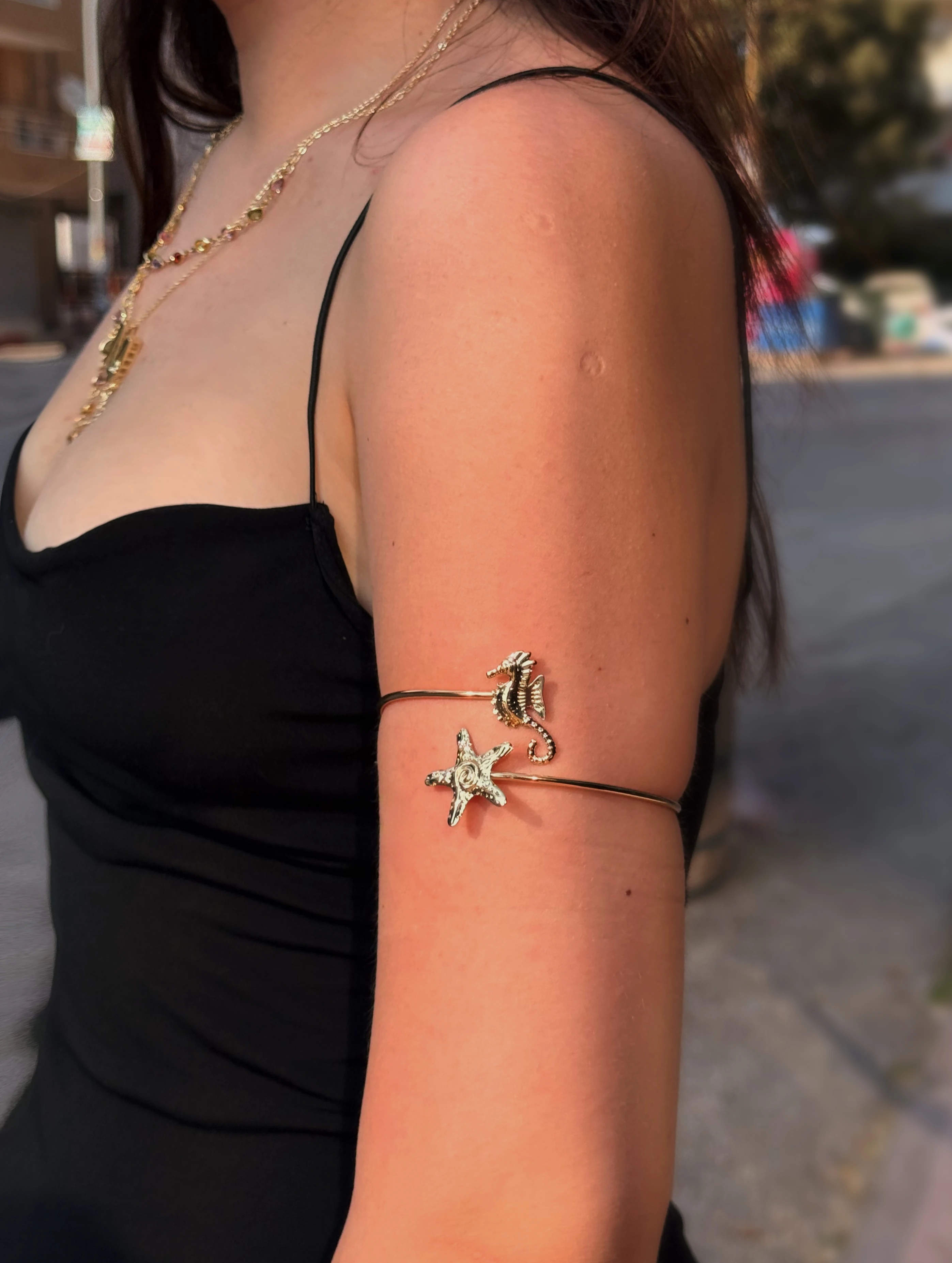 Denizatı Ve Yıldız Detaylı Pazu