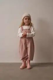 Pudra