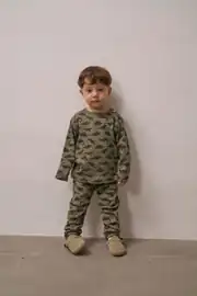 Dinozor