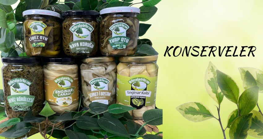 Sofranıza Ege Rüzgarı 