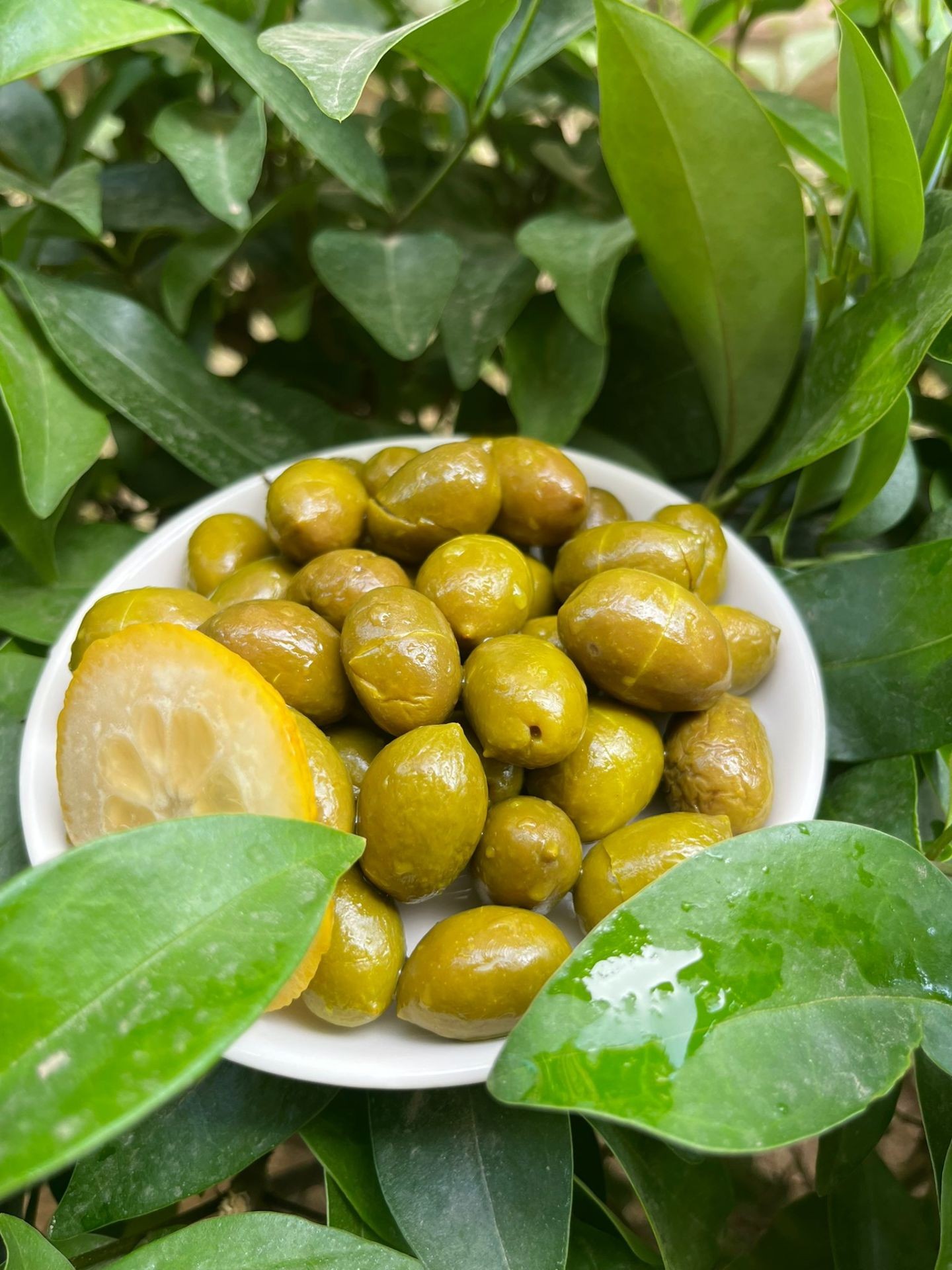 Kırma Yeşil Zeytin