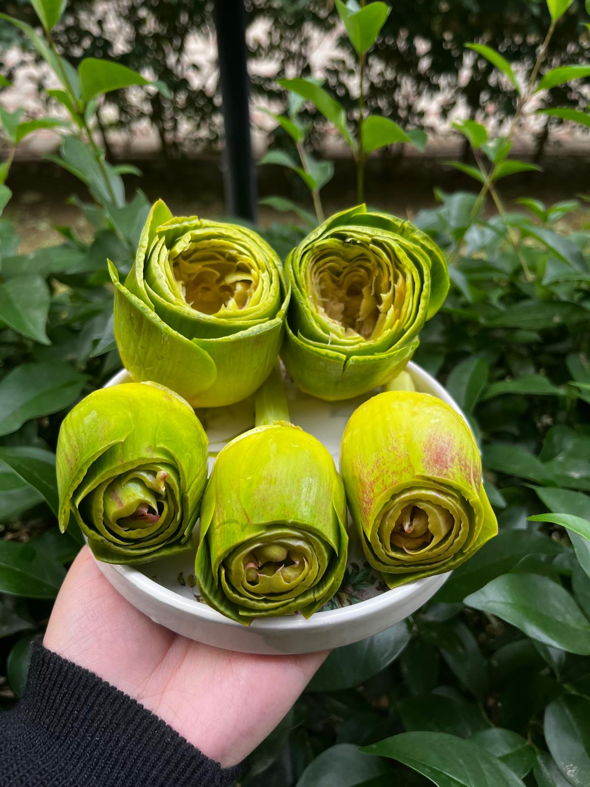 Karışık Enginar Paketi 1