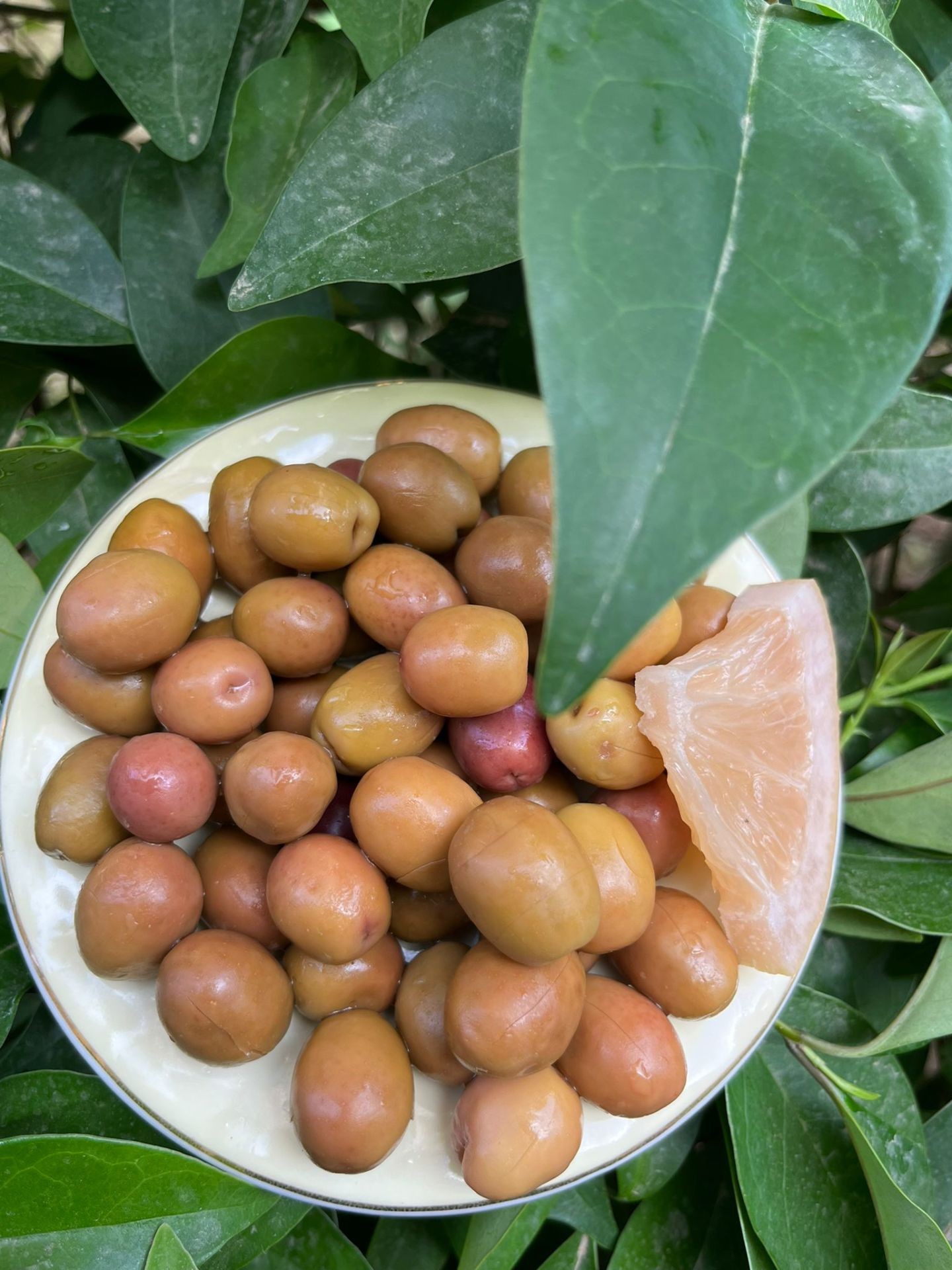 Çizik Yeşil Zeytin