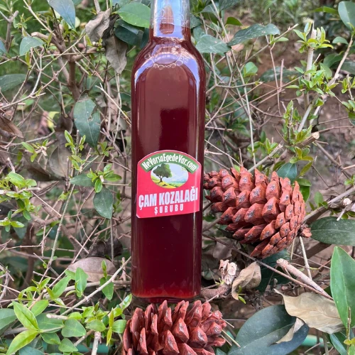 Kozalak Şurubu 500 ML