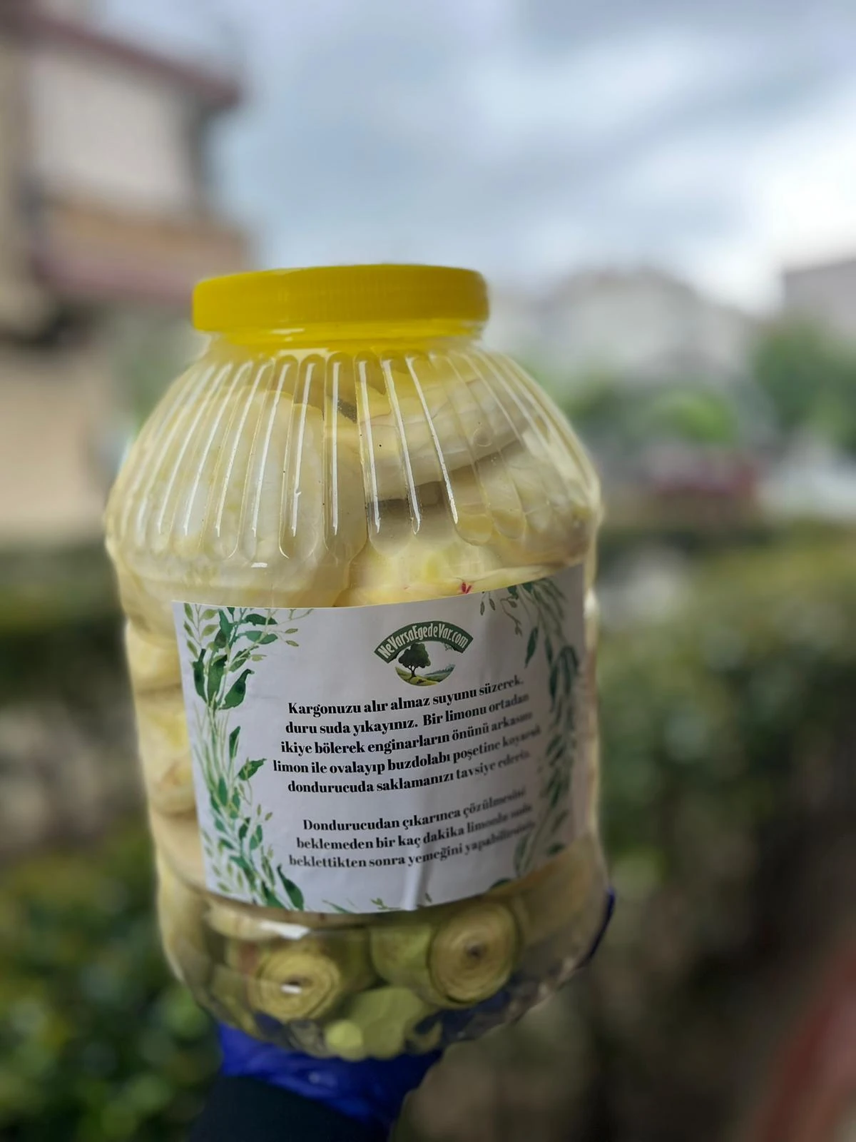 Karışık Enginar Paketi 2