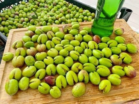 Kırma Yeşil Zeytin