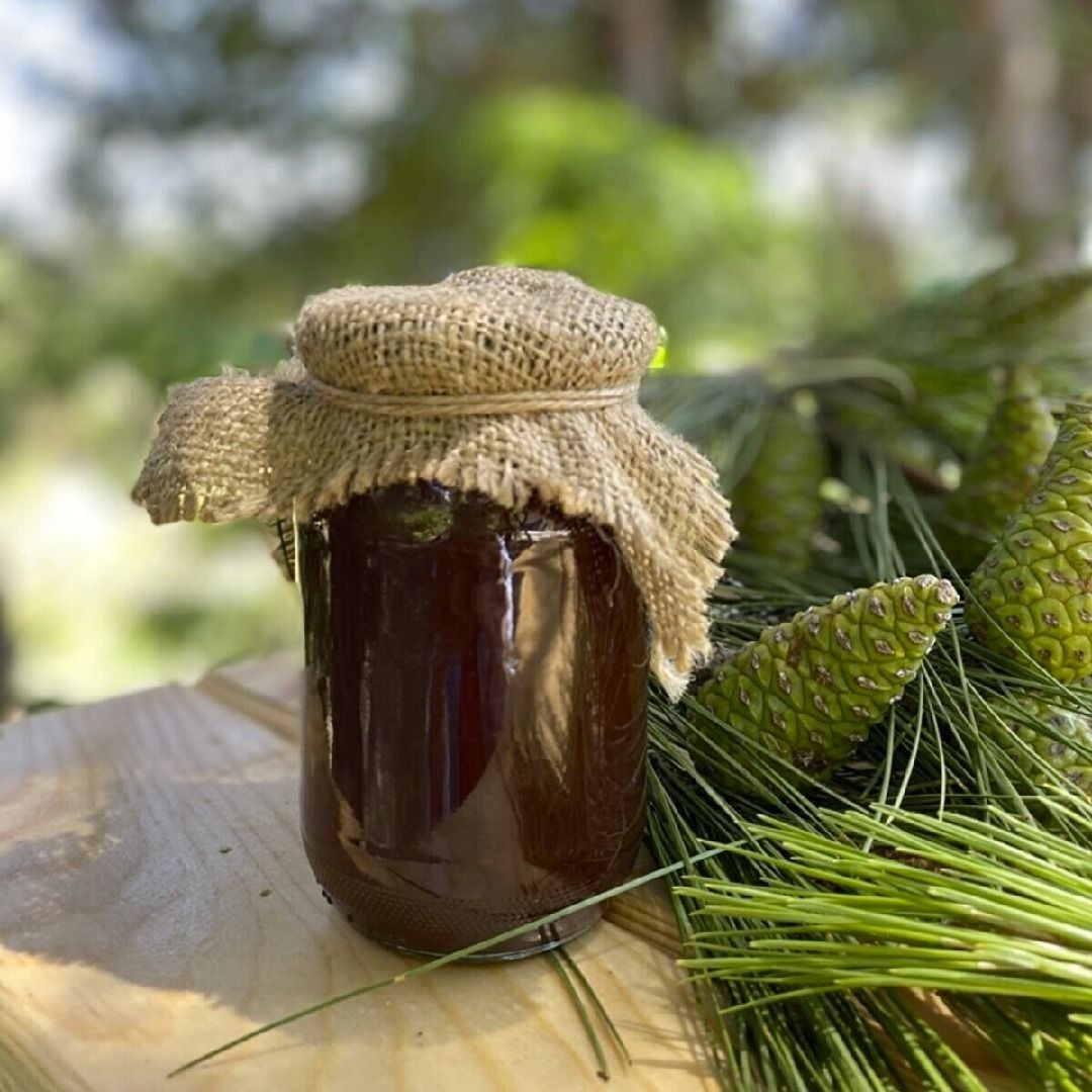 Kozalak Şurubu