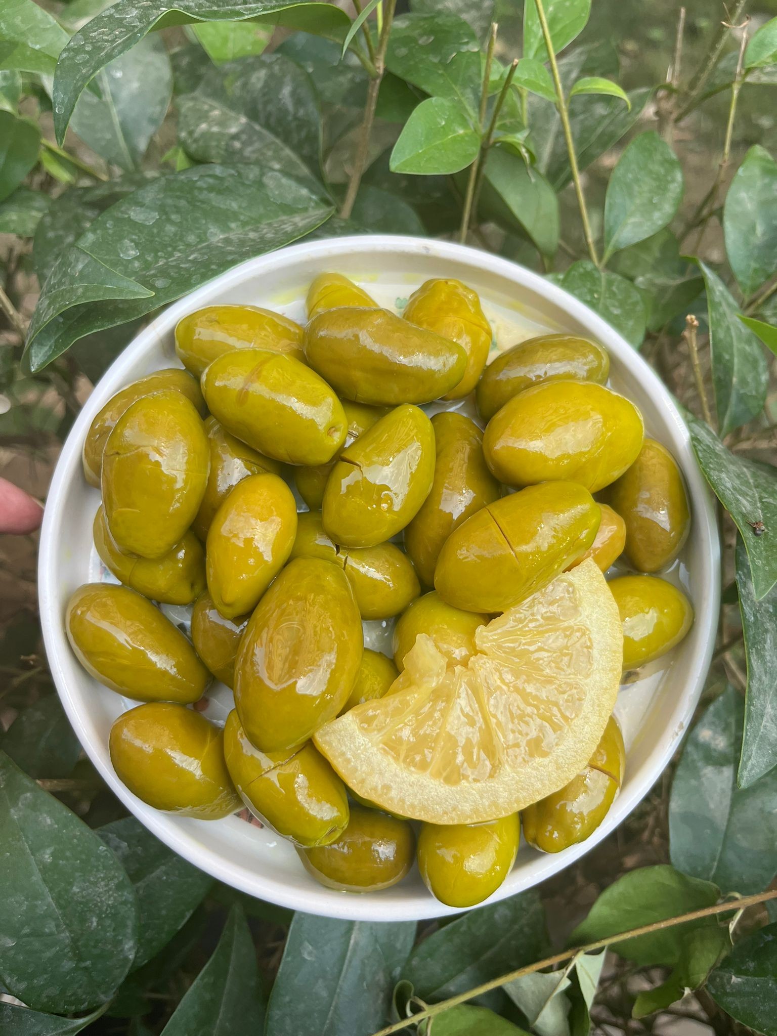 Kalamata Kırma Yeşil Zeytin 1 Kilogram