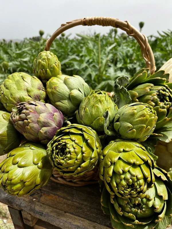 Dalından (Soyulmamış) Taze Kalp Enginar 1 Adet