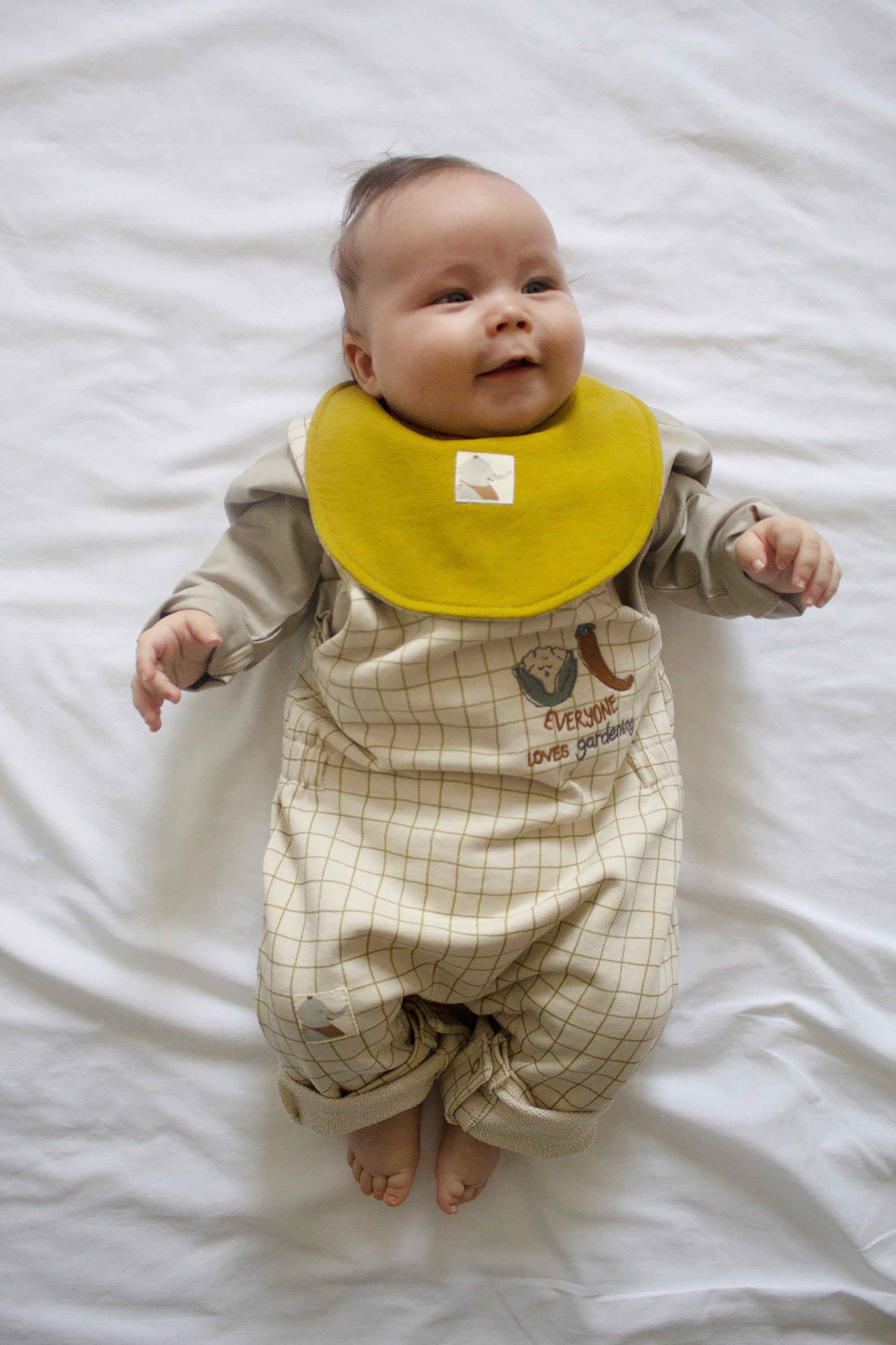 Auntie Me Organic Double Sided ‘Olive Oil Checked’ Bib