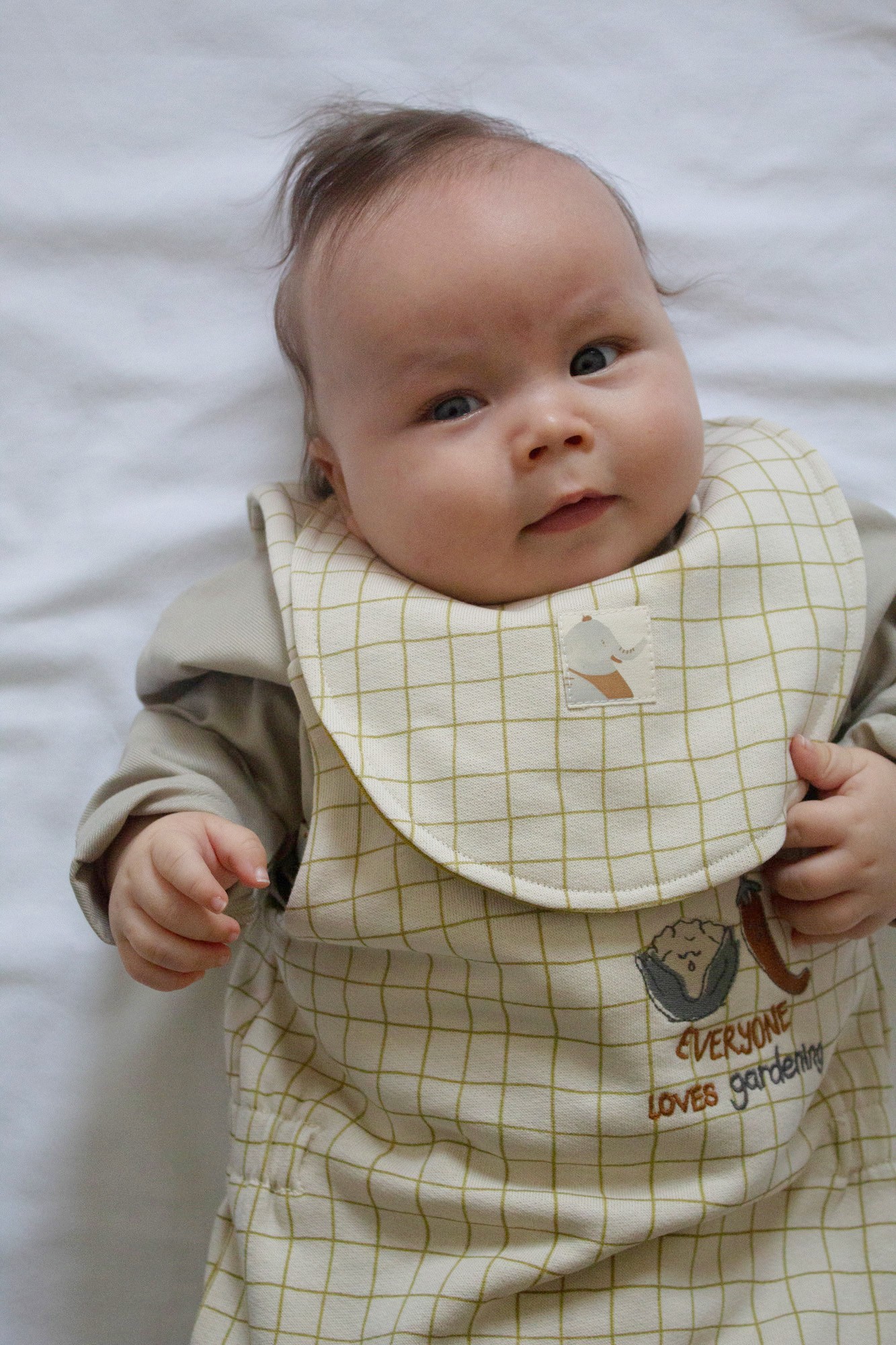 Auntie Me Organic Double Sided ‘Olive Oil Checked’ Bib