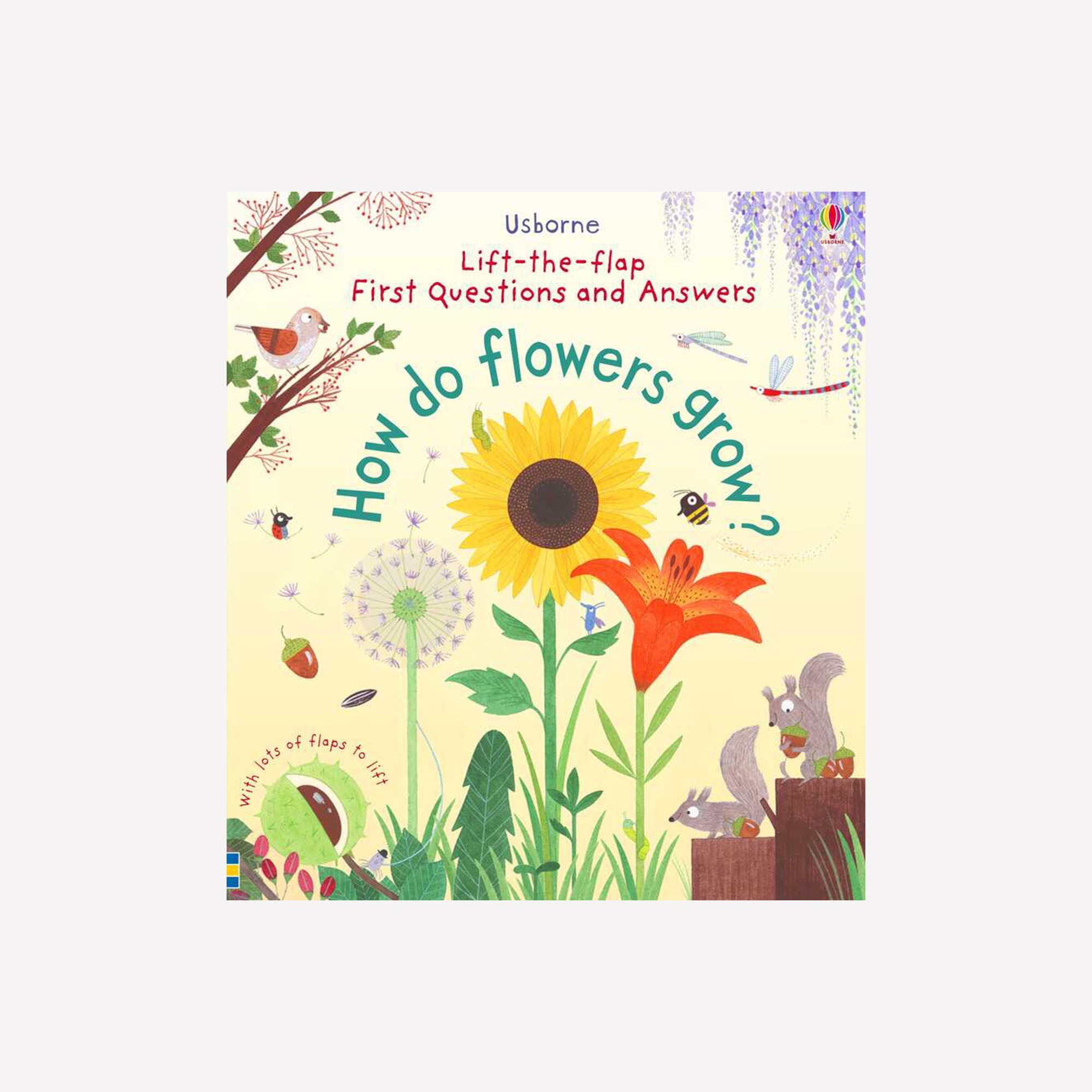 Ltf First Q&A How Do Flowers Grow