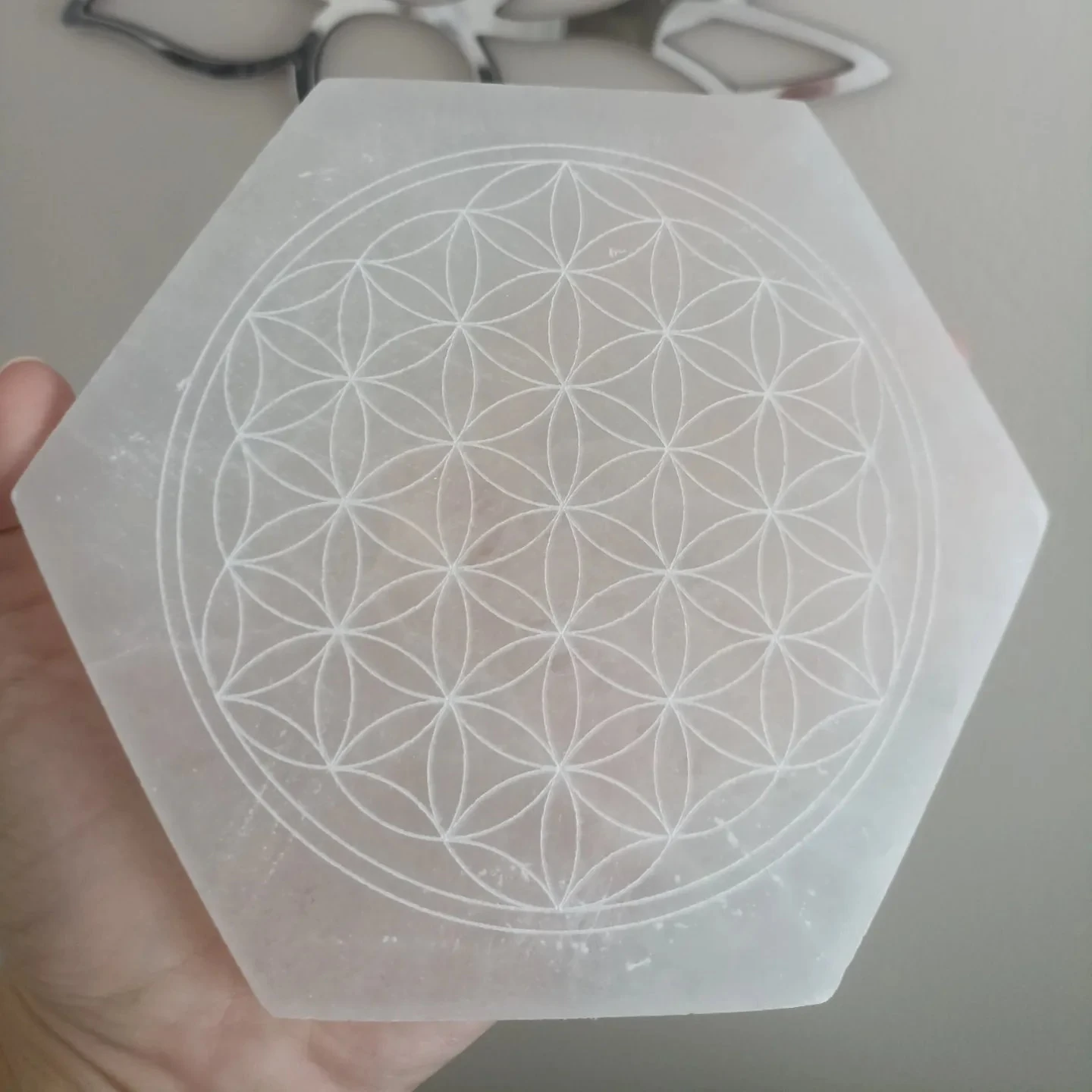 Yaşam Çiçekli Selenit Stand