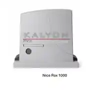 Nice
