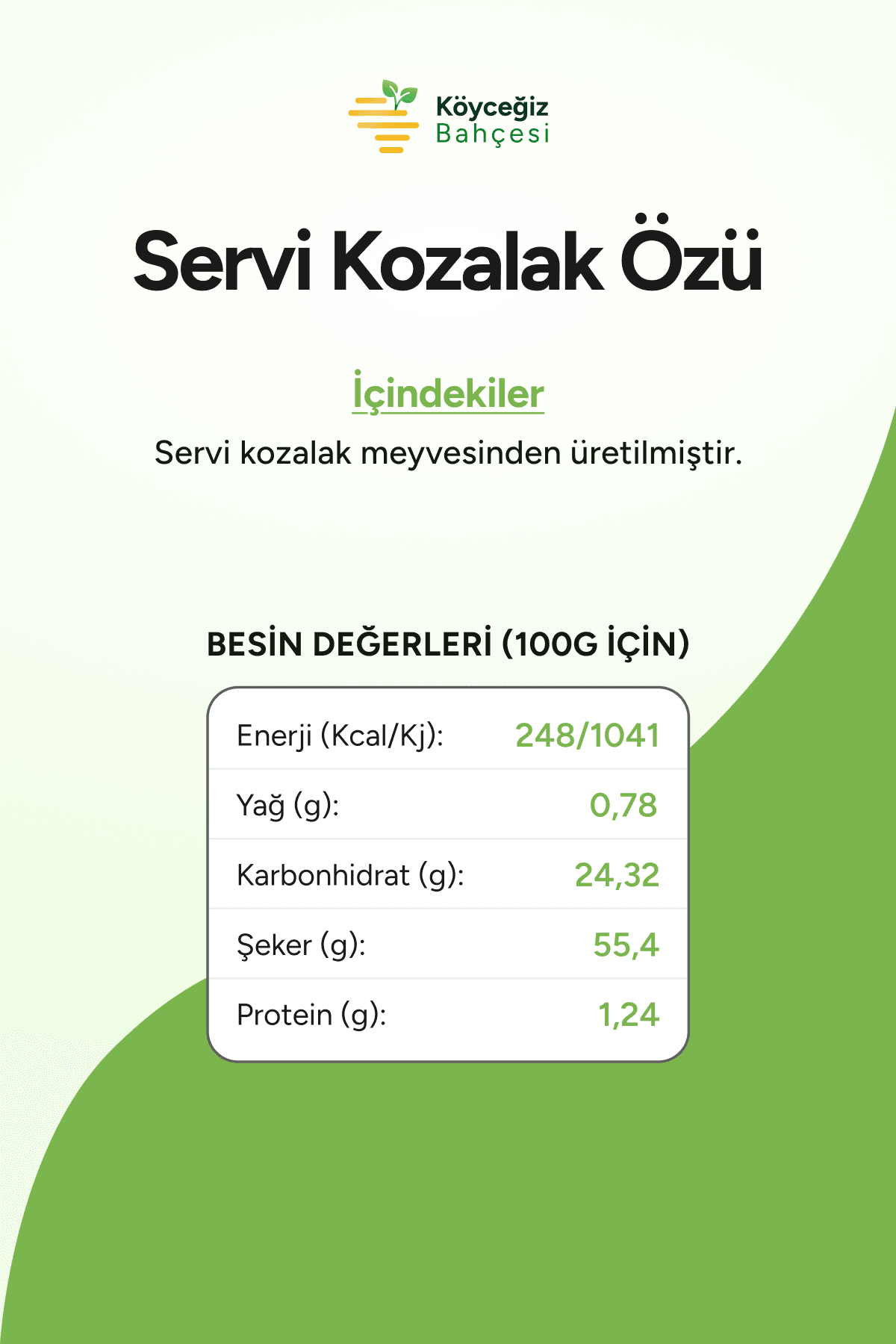 Organik Servi Kozalak Özü