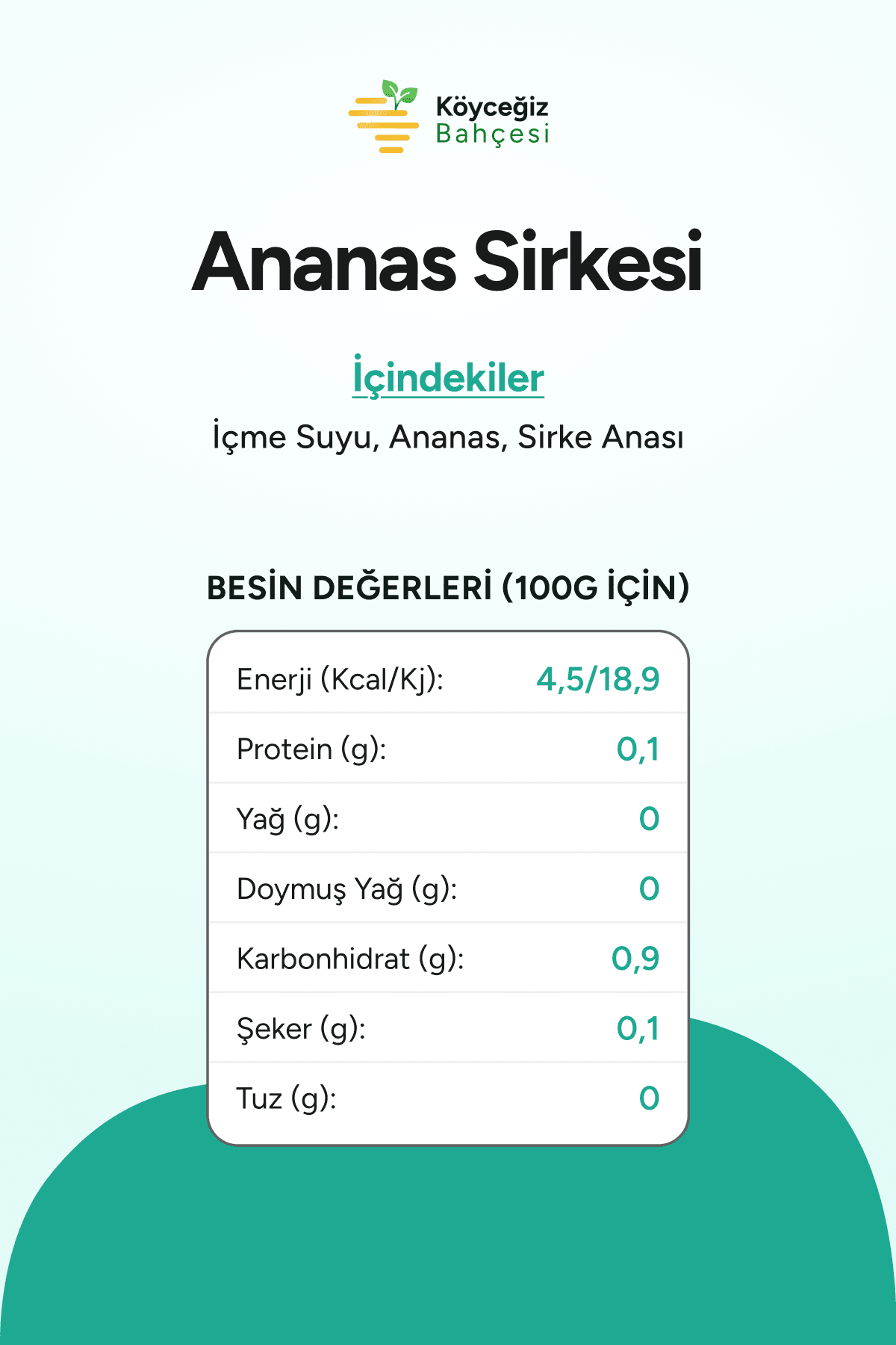 Organik Ananas Sirkesi