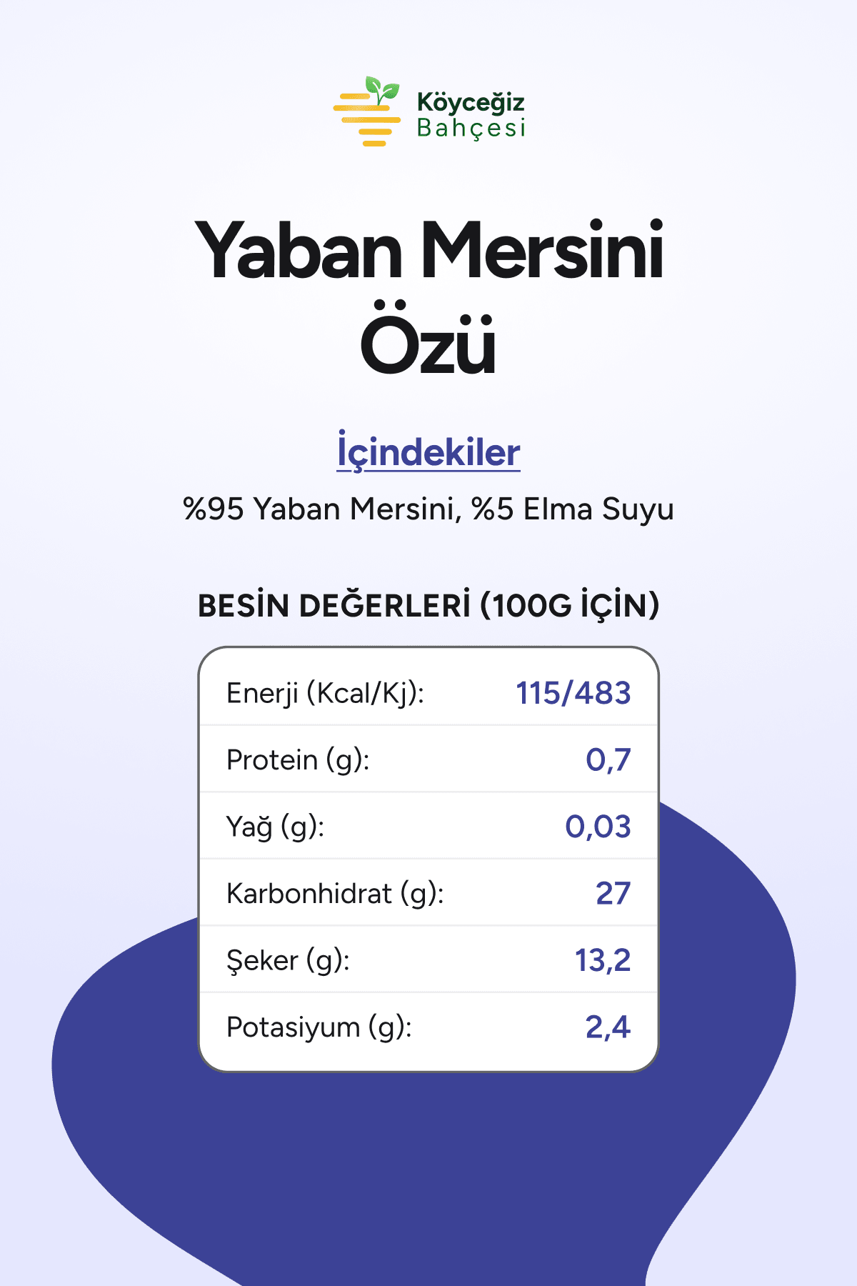 Organik Yaban Mersini Özü
