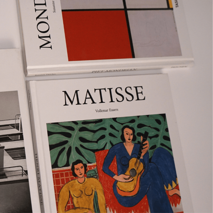 Matisse Kitap