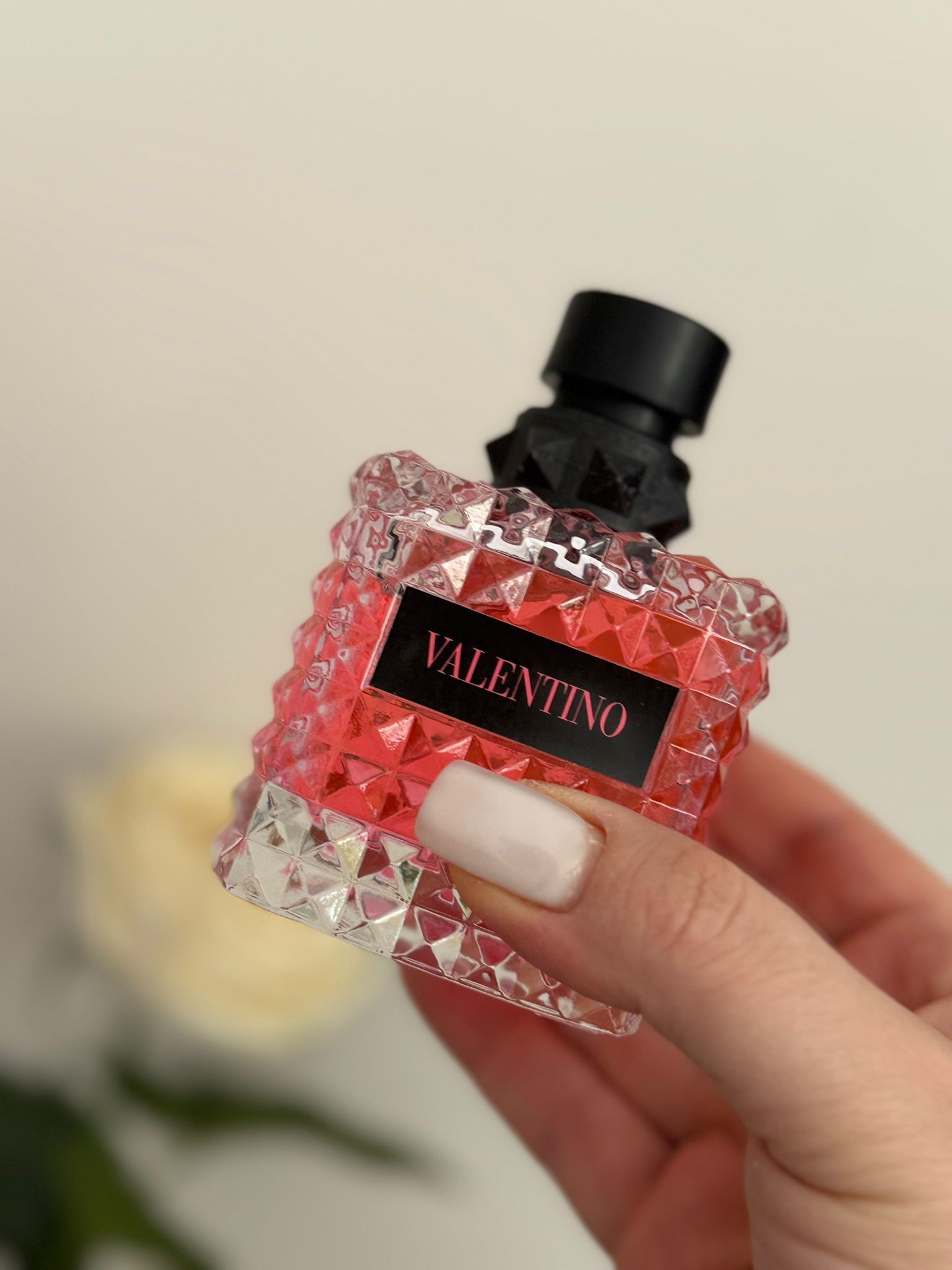 Valentino Donna Born İn Roma