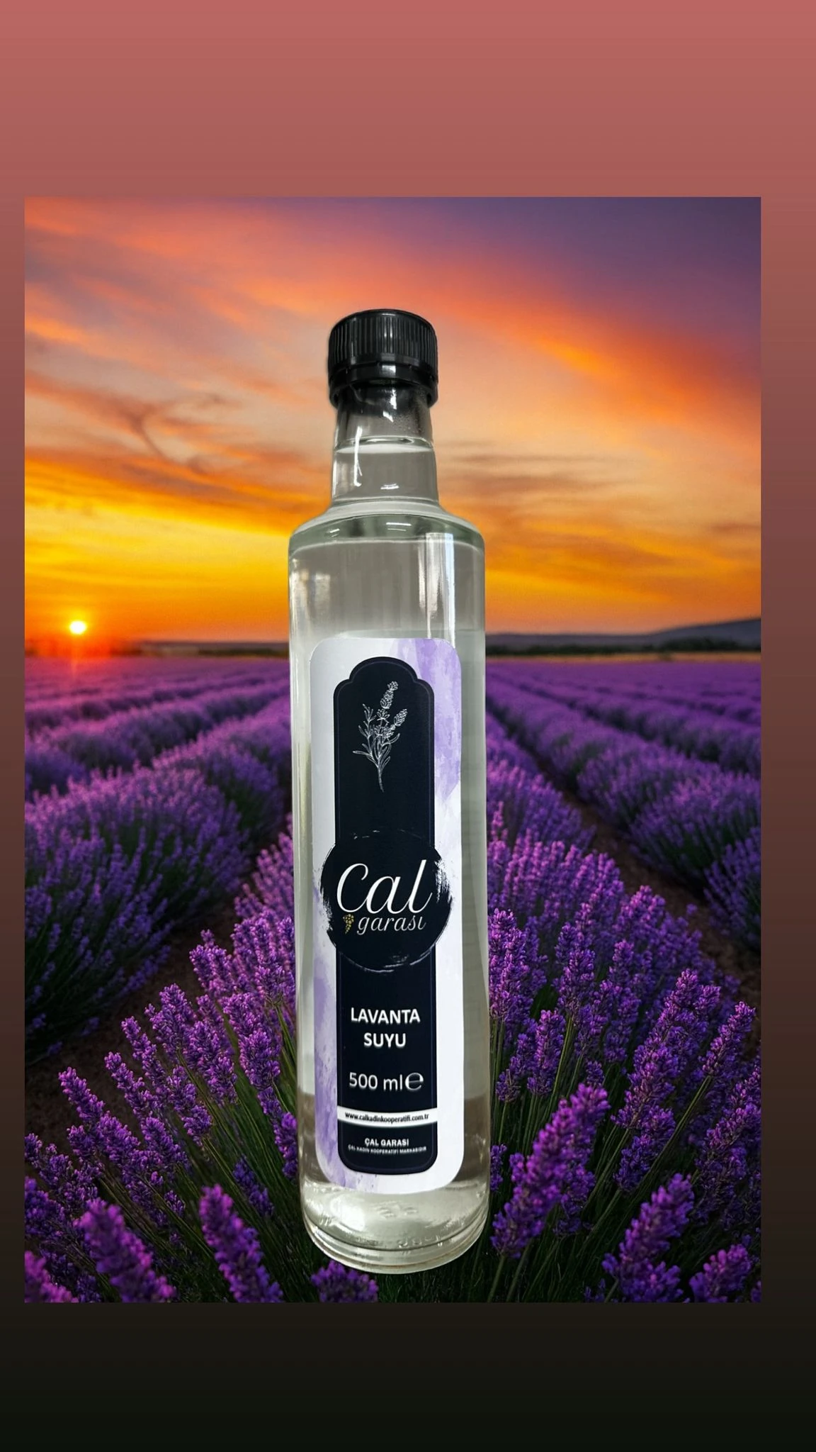 %100 Doğal ve Saf Lavanta Suyu