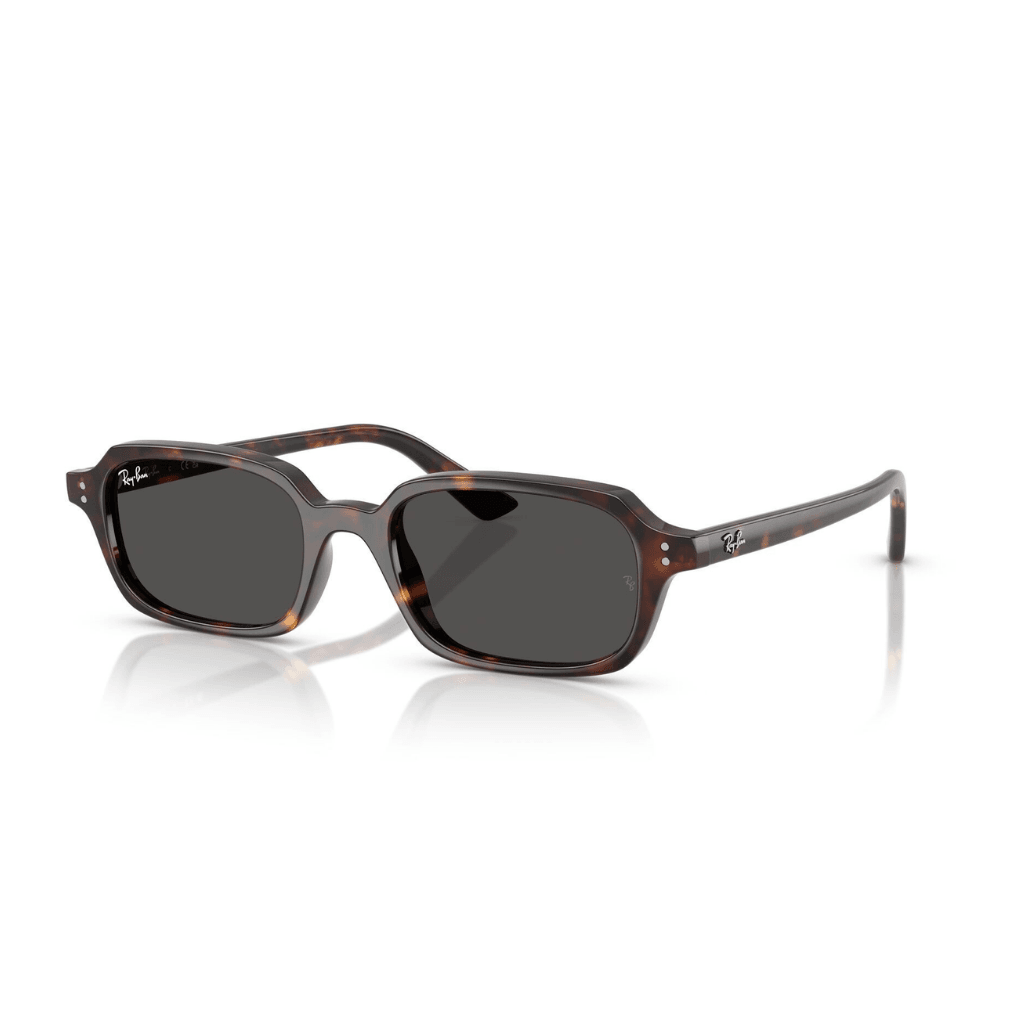 Ray-Ban 4455 1359/87 52-19 Unisex Güneş Gözlüğü