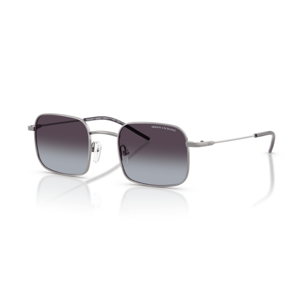 Armani Exchange 2055S 6003/8G 46-21 Unisex Güneş Gözlüğü