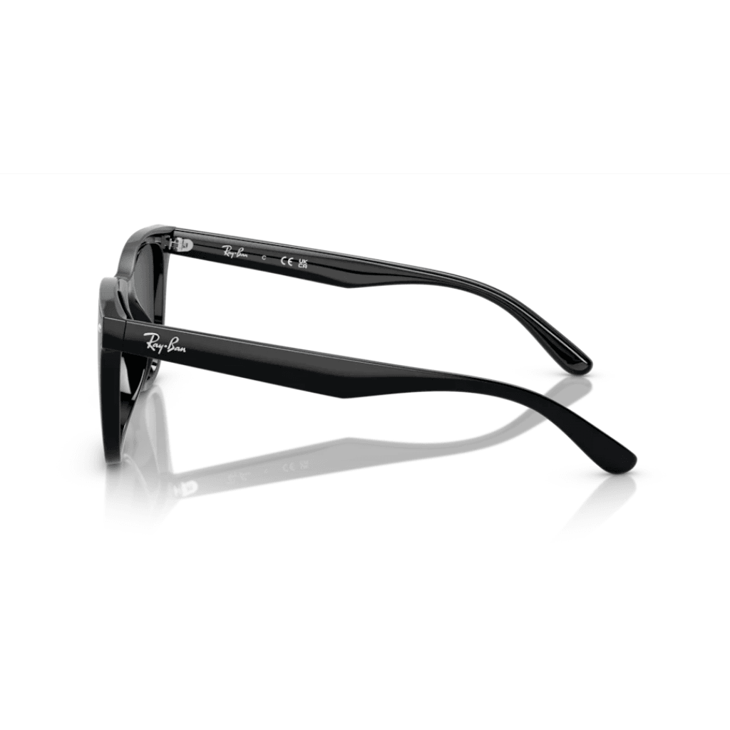 Ray-Ban 4420 601/87 65-18 Unisex Güneş Gözlüğü