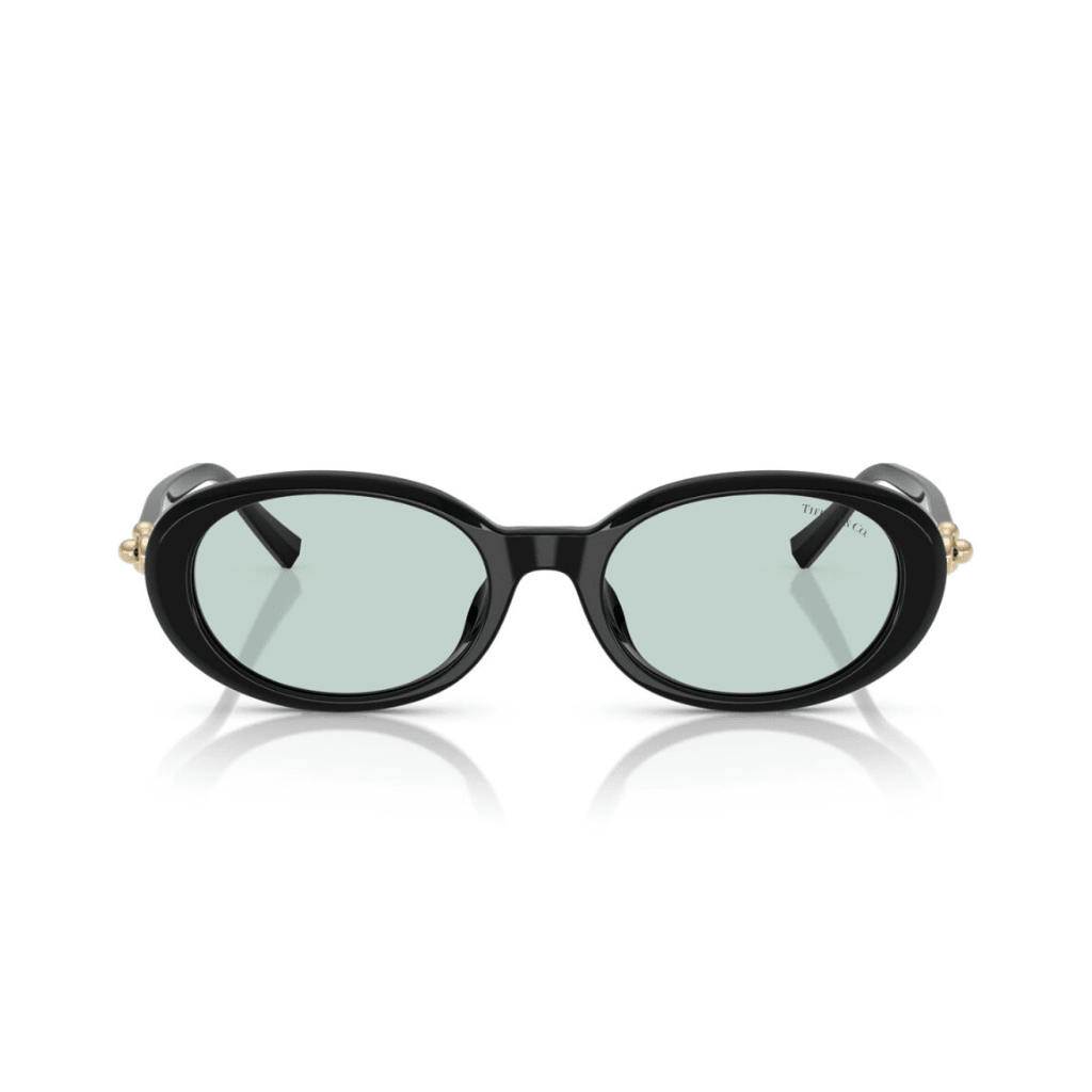Tiffany & Co 4242-D 8001/D9 54-19 Kadın Güneş Gözlüğü