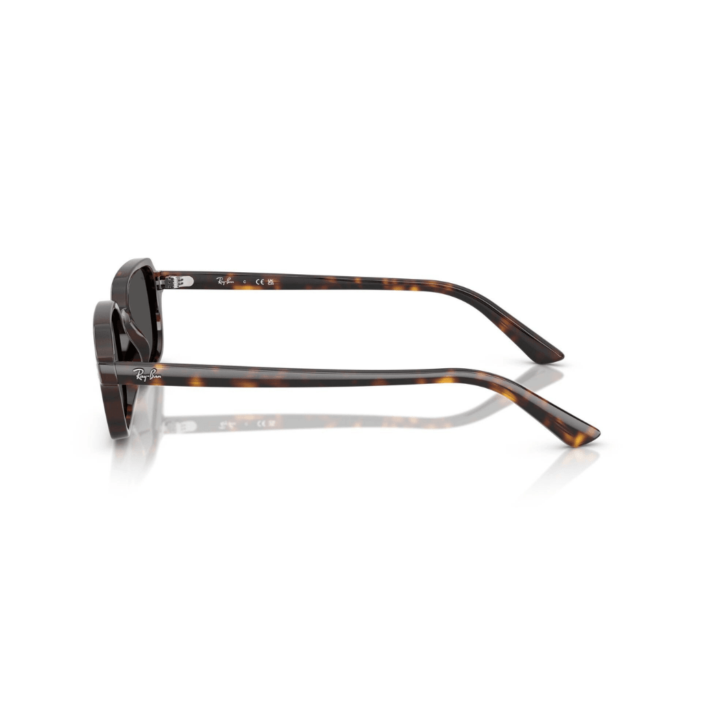 Ray-Ban 4455 1359/87 52-19 Unisex Güneş Gözlüğü